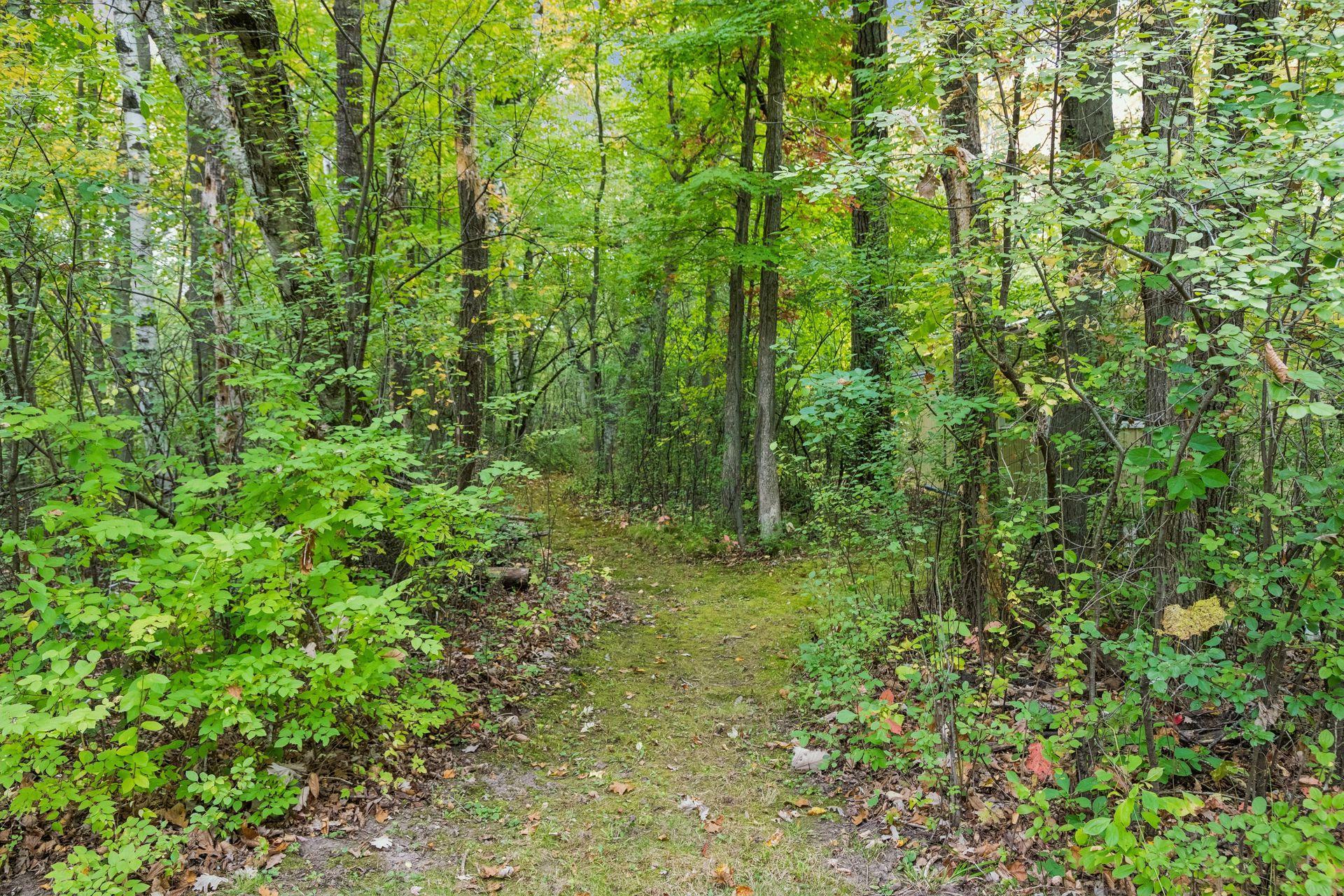 main property photo 56