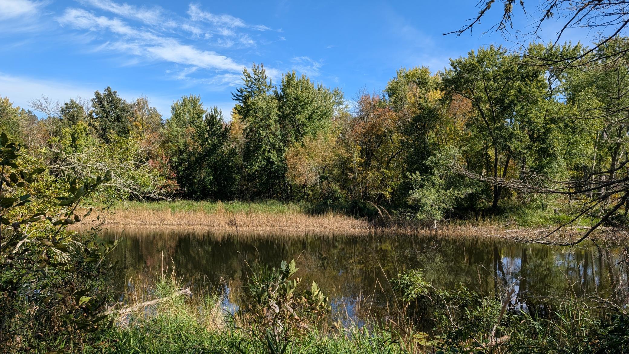 main property photo 26