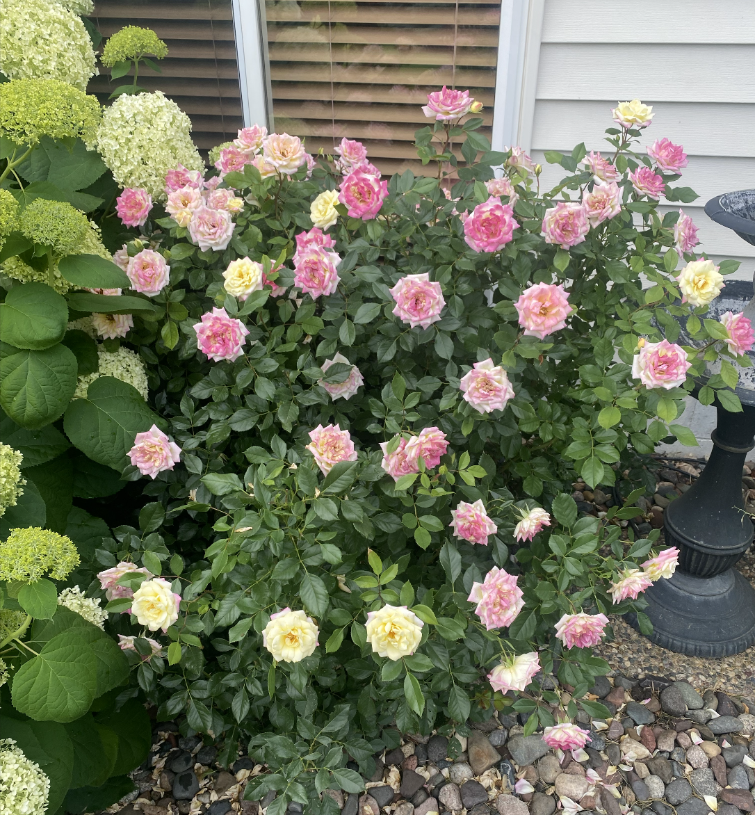 main property photo 67
