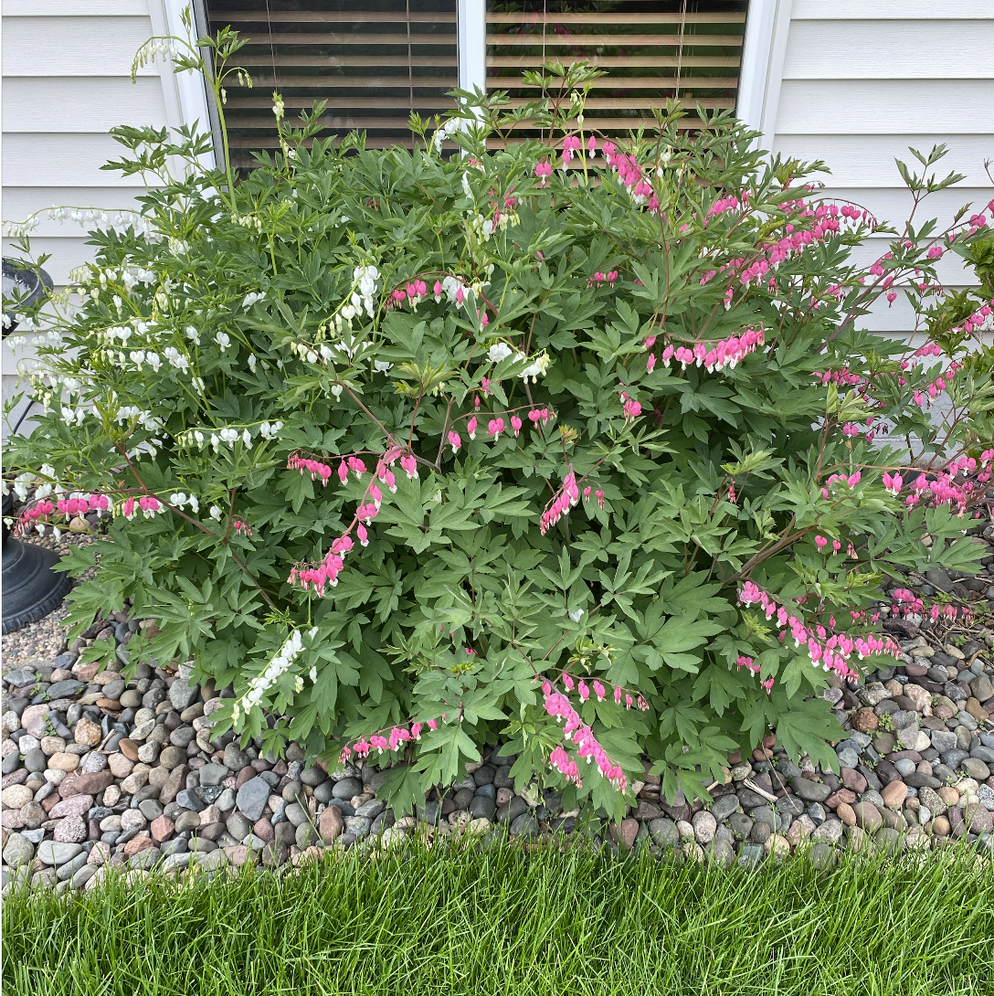 main property photo 75
