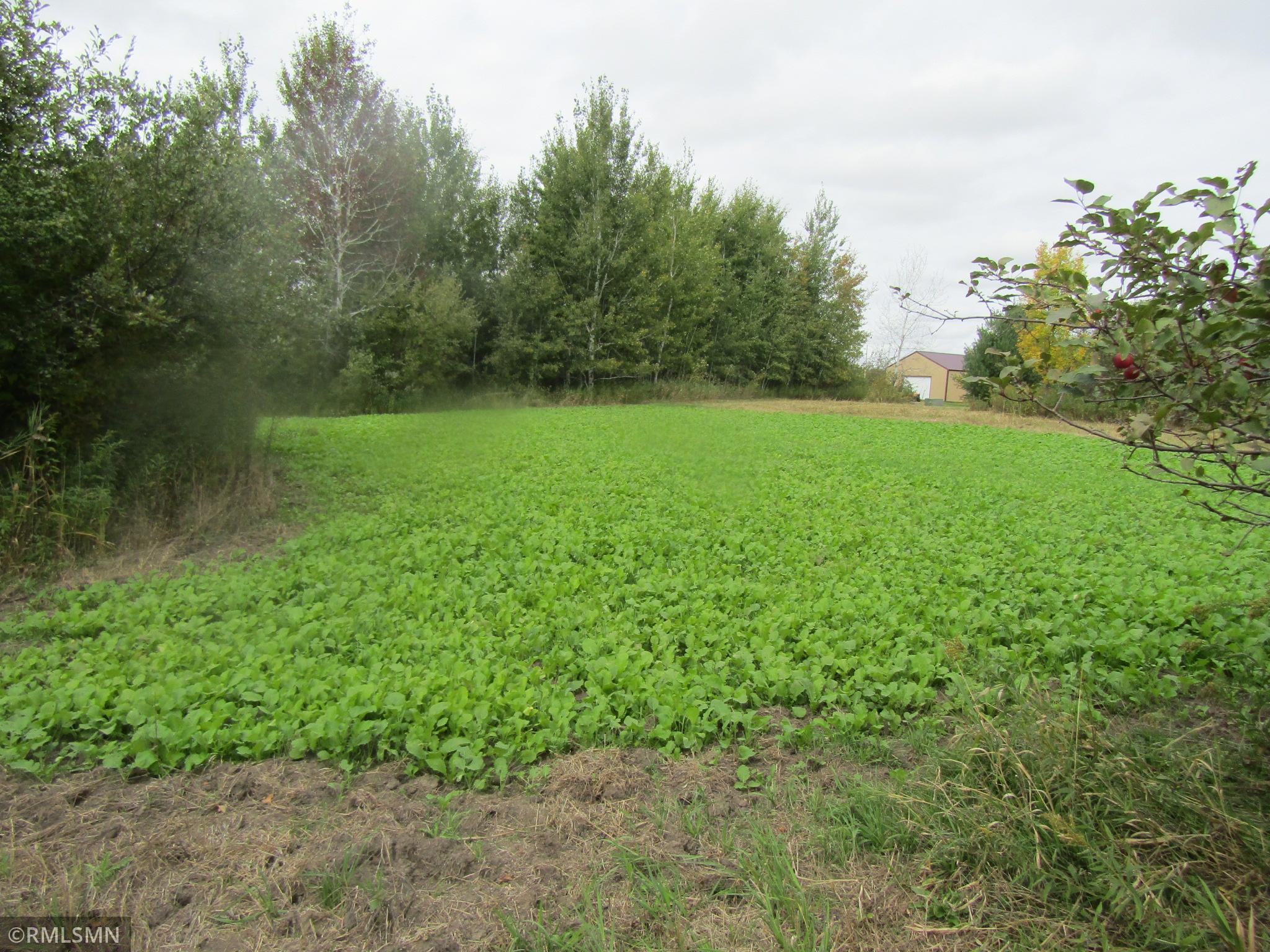 main property photo 10