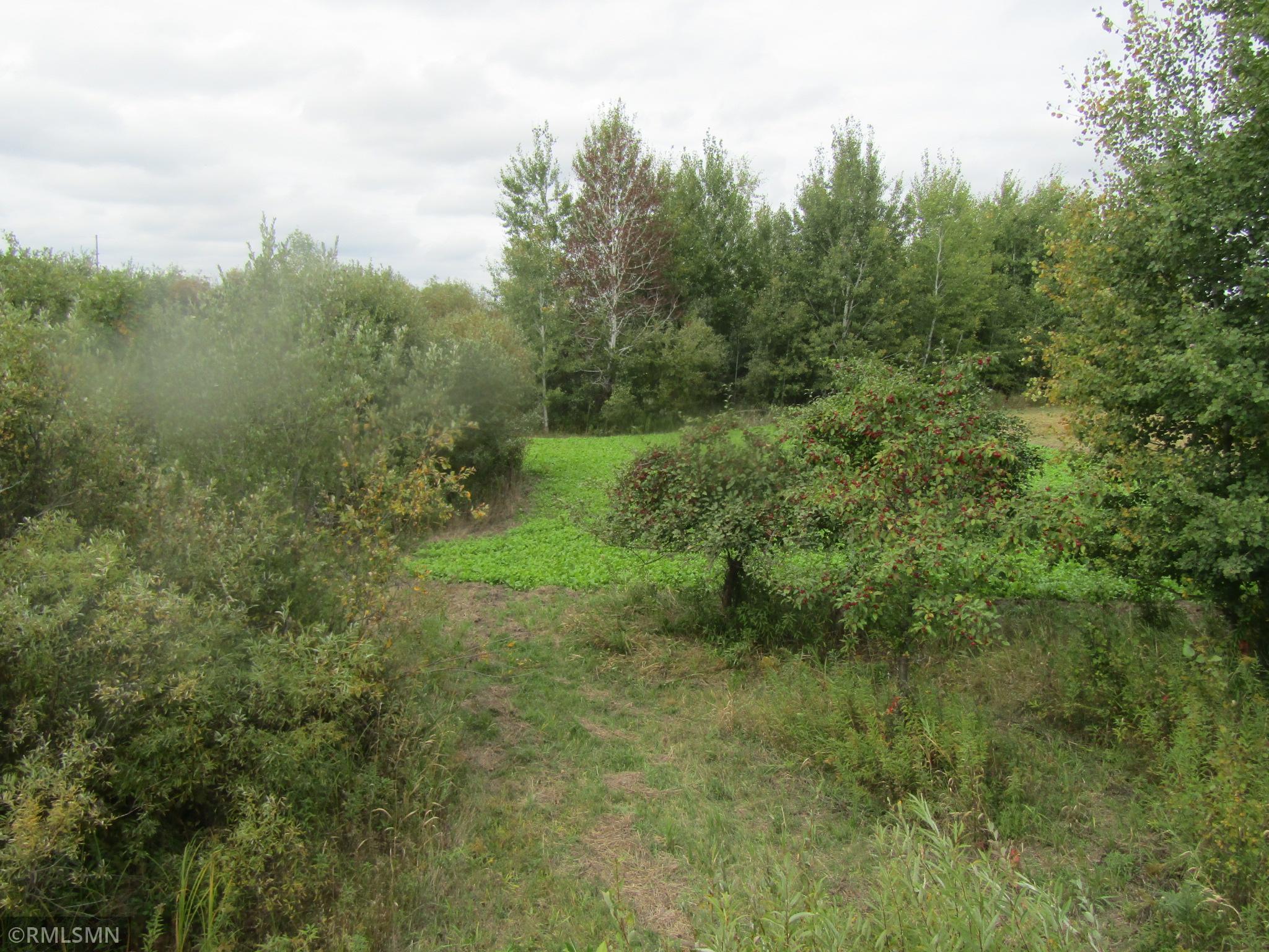 main property photo 9