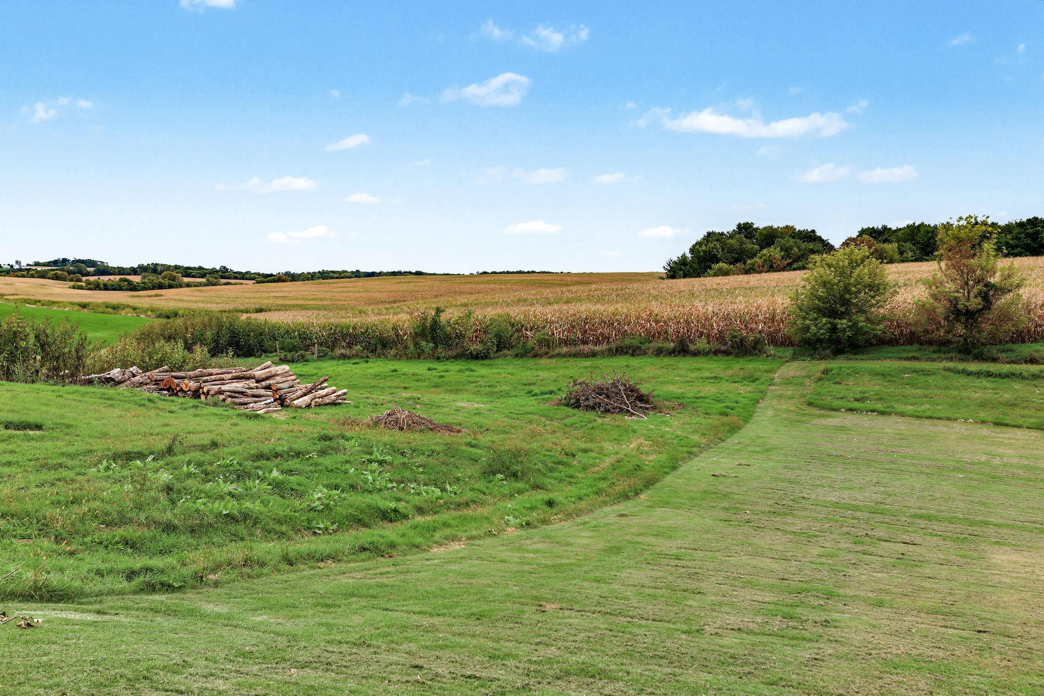 main property photo 41