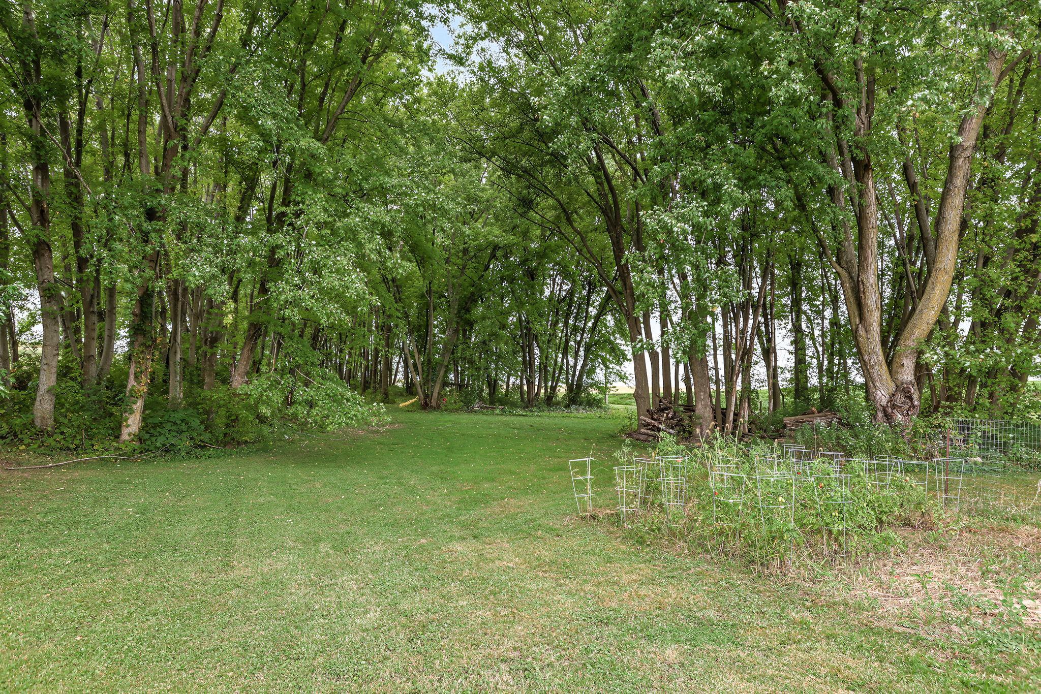main property photo 44