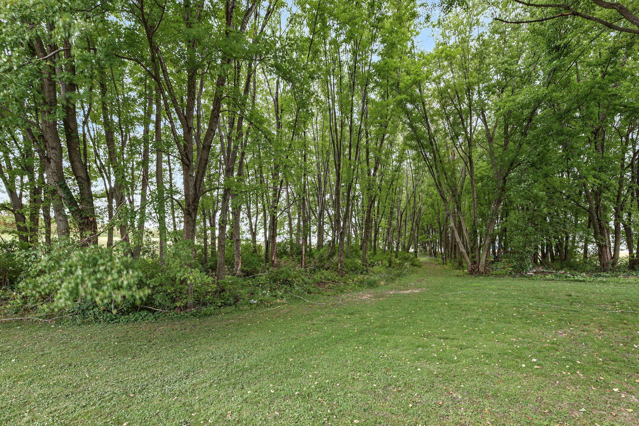 main property photo 45