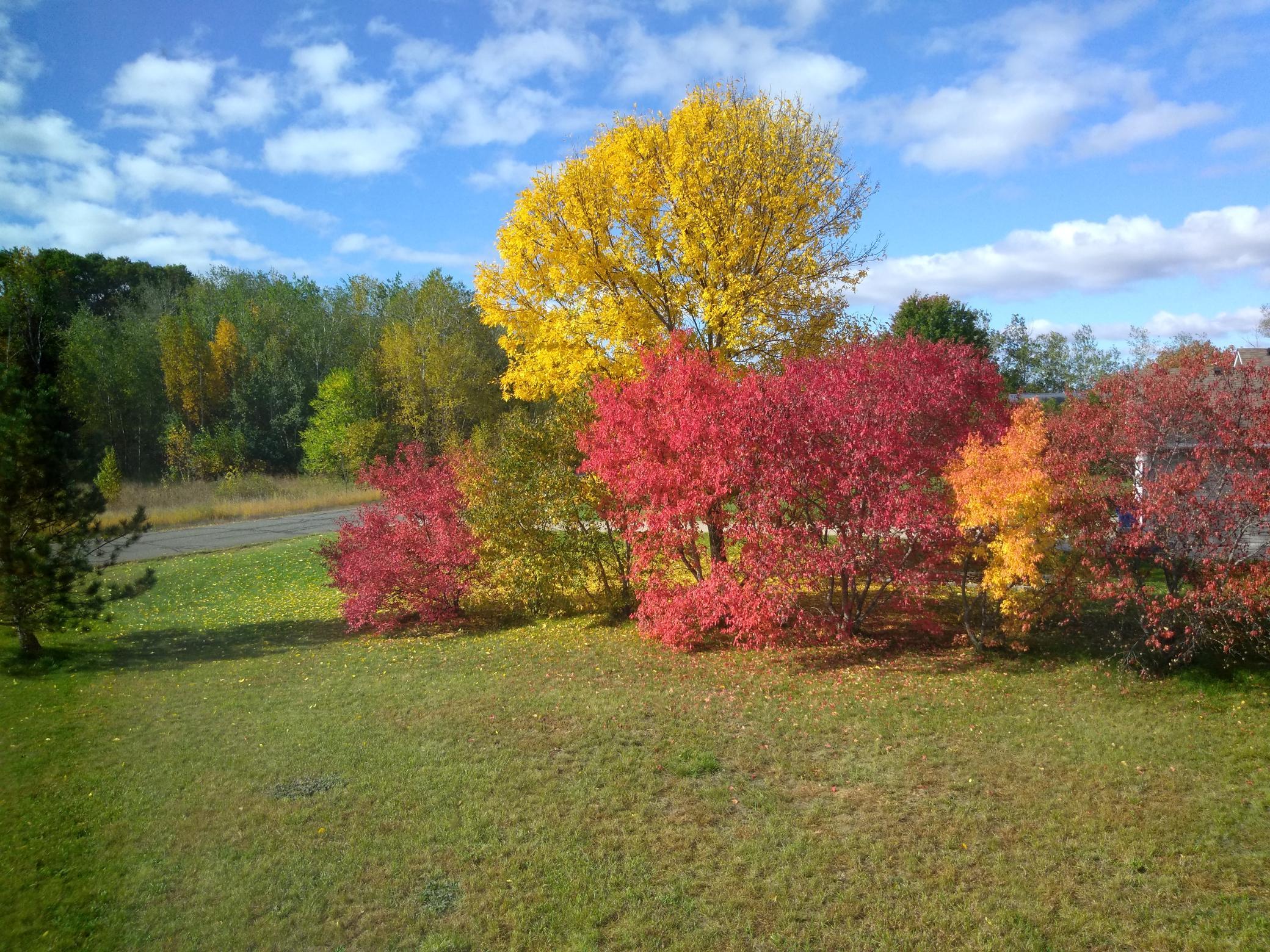 main property photo 27