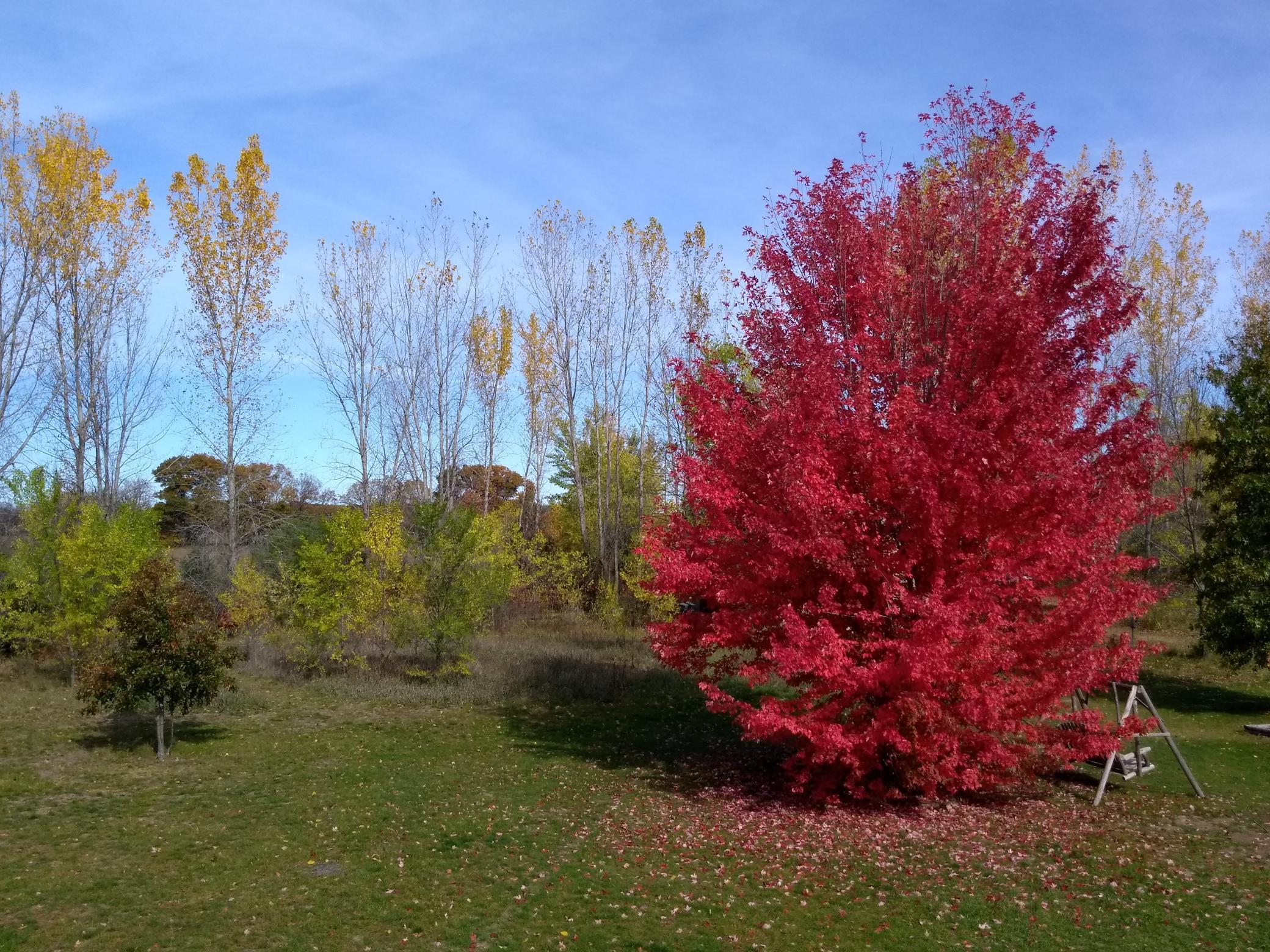 main property photo 33