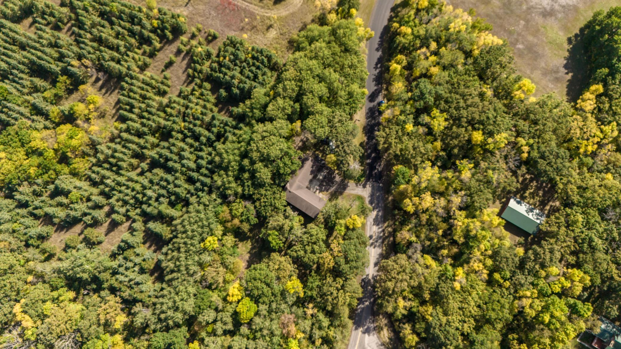 main property photo 42