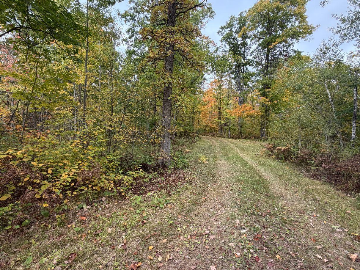 main property photo 44