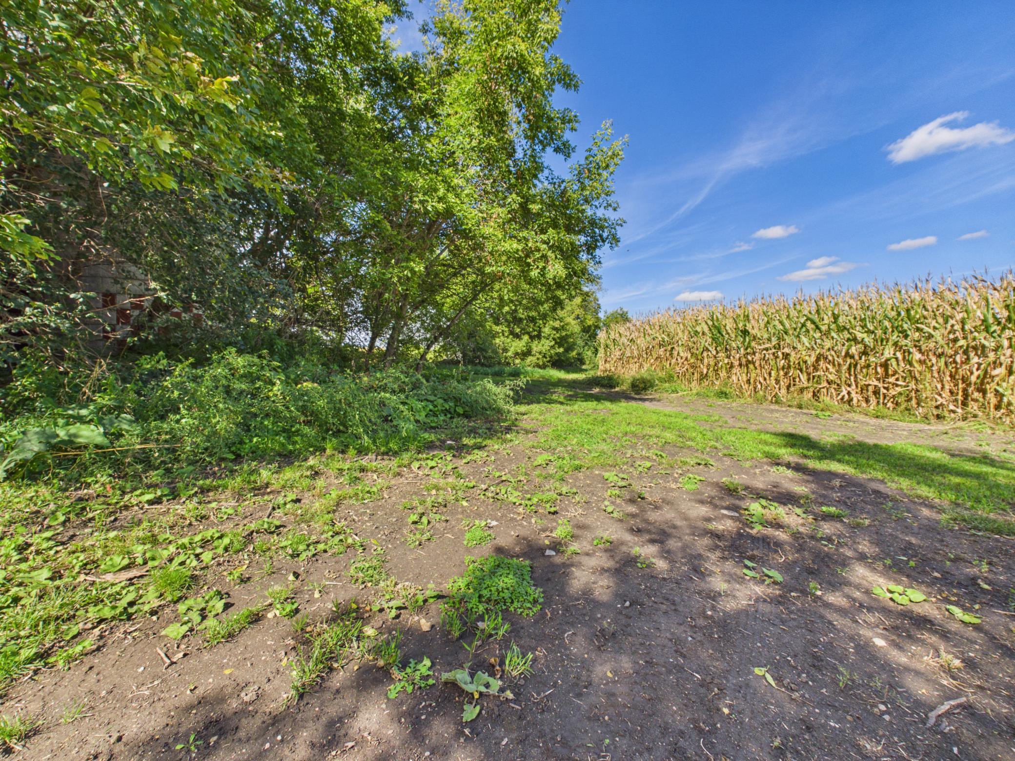 main property photo 44