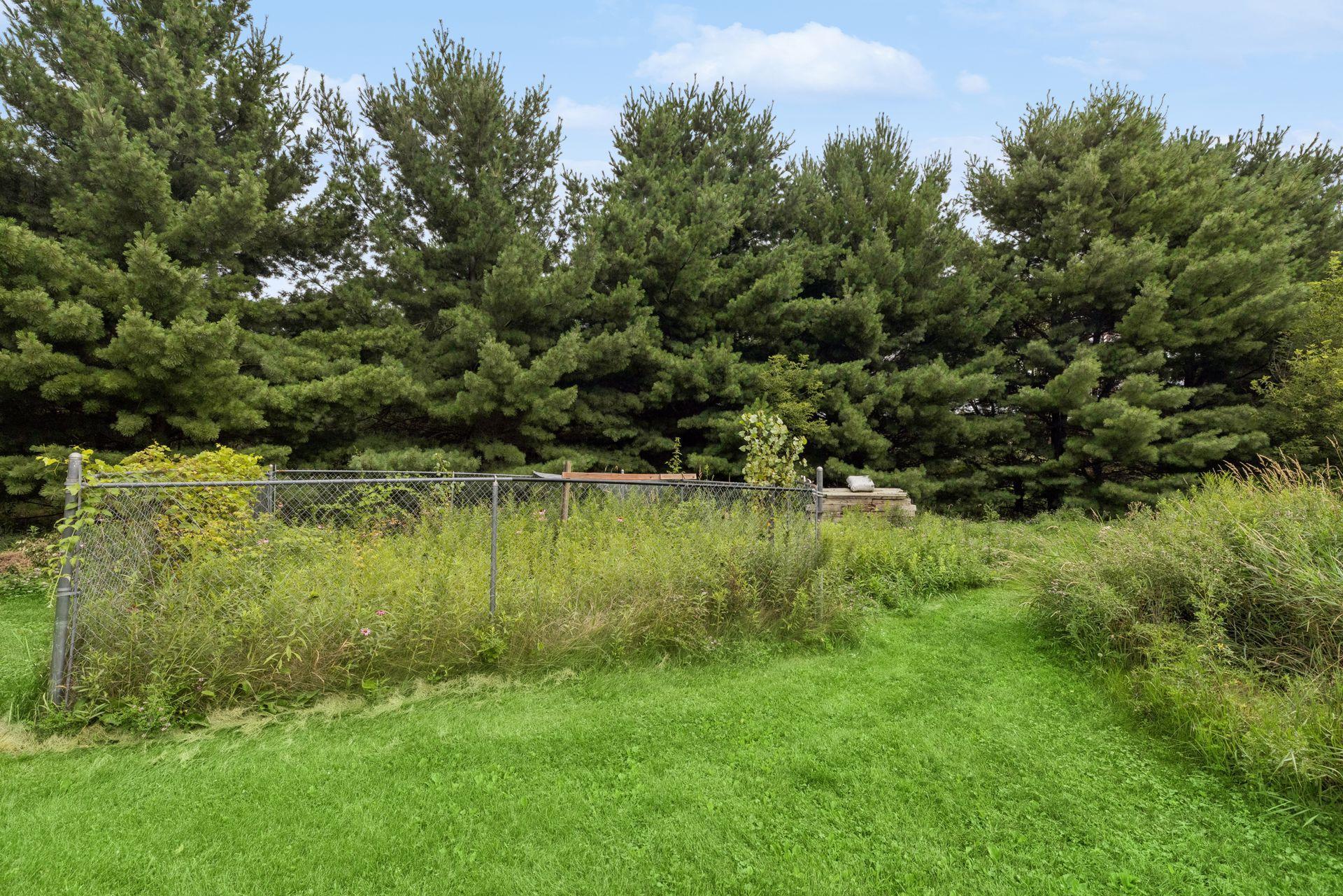 main property photo 95
