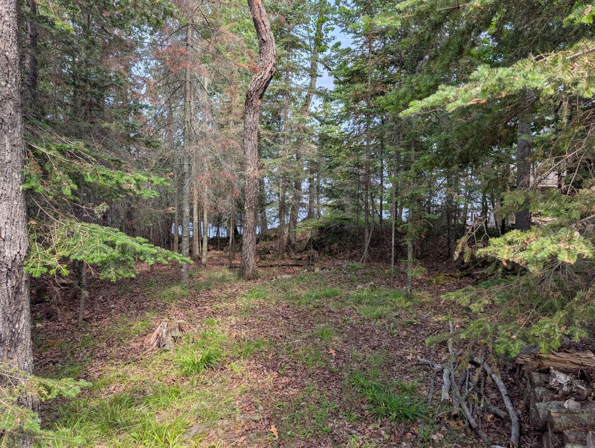 main property photo 29