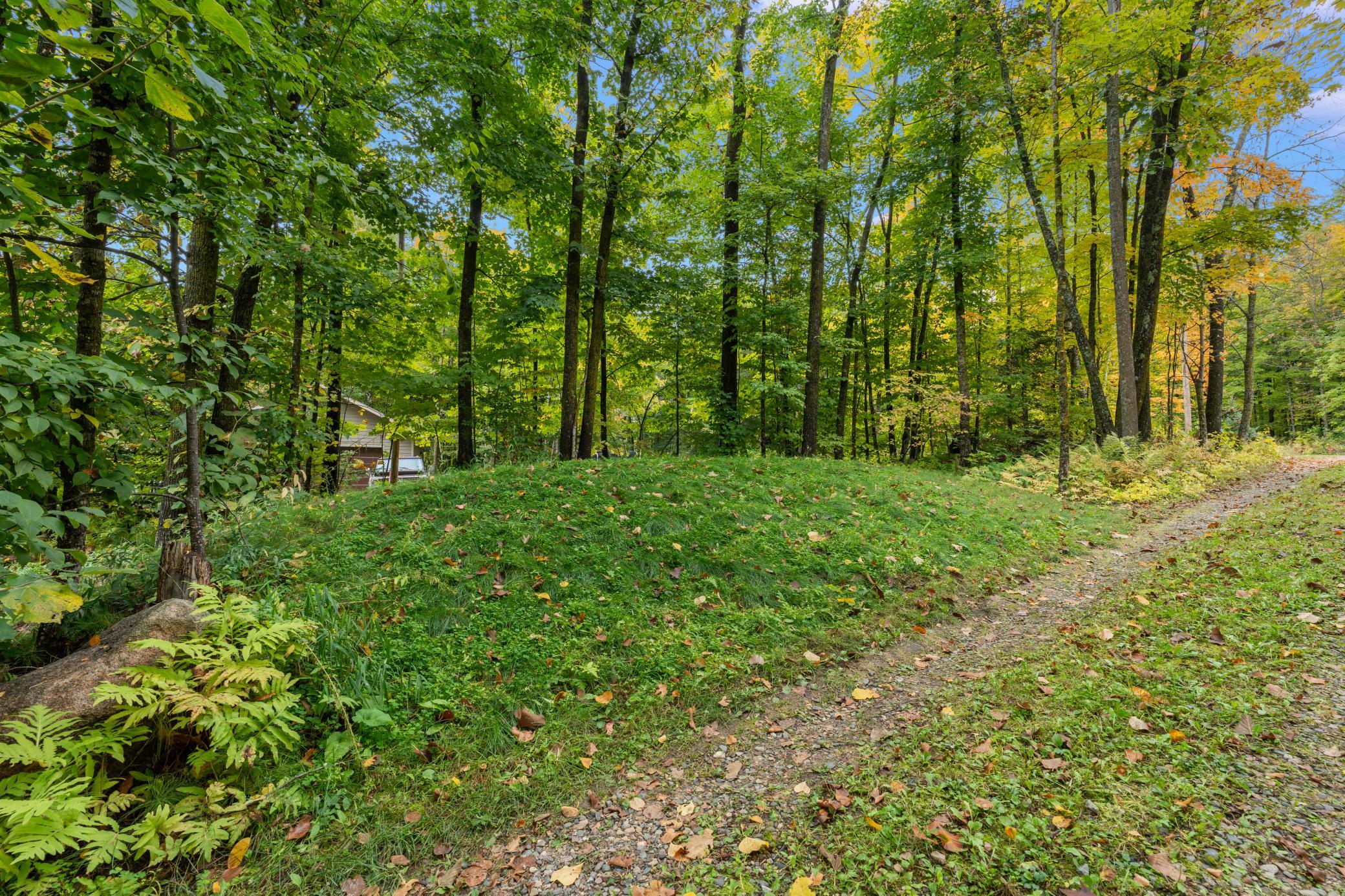 main property photo 54