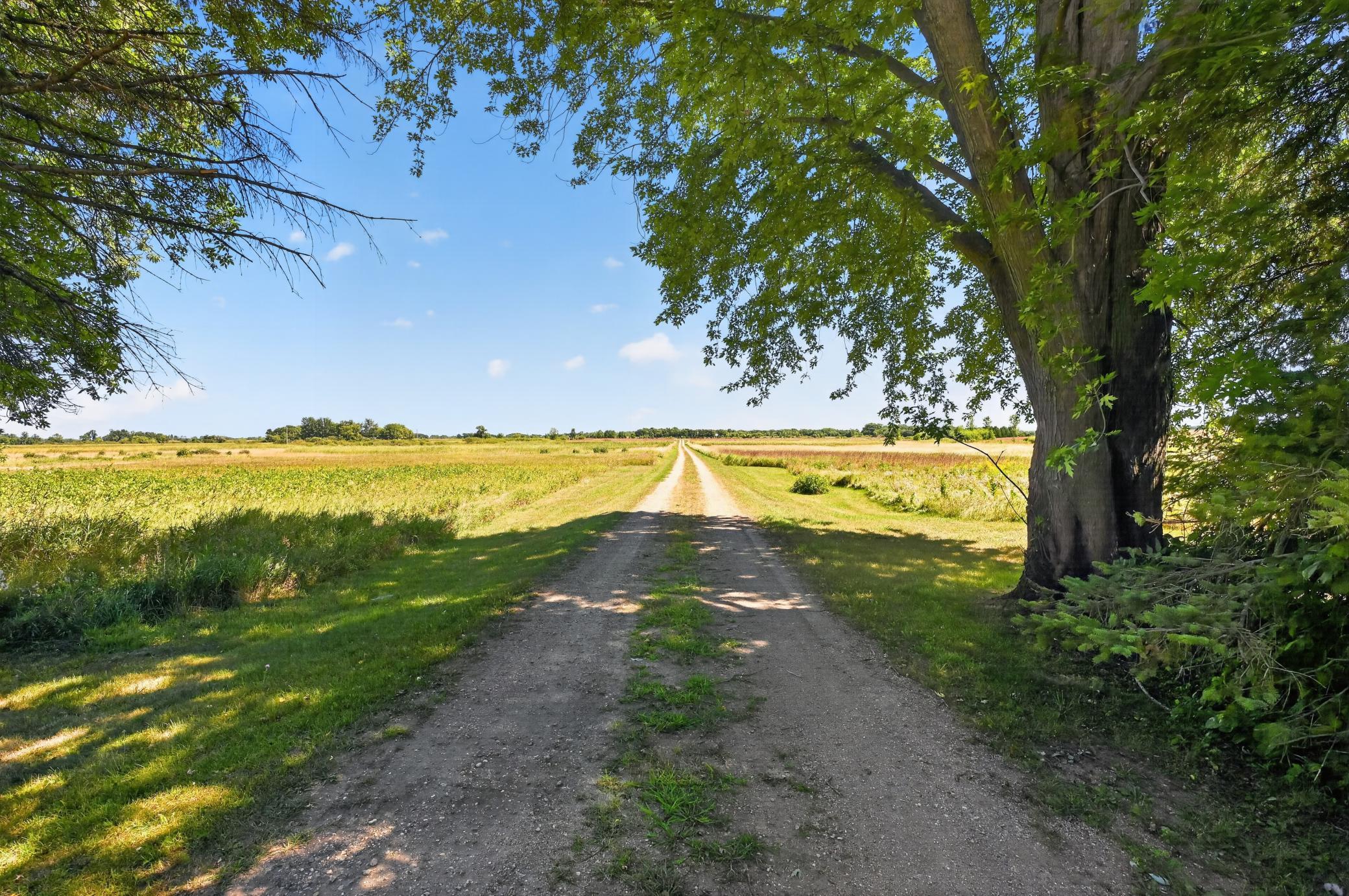 main property photo 74