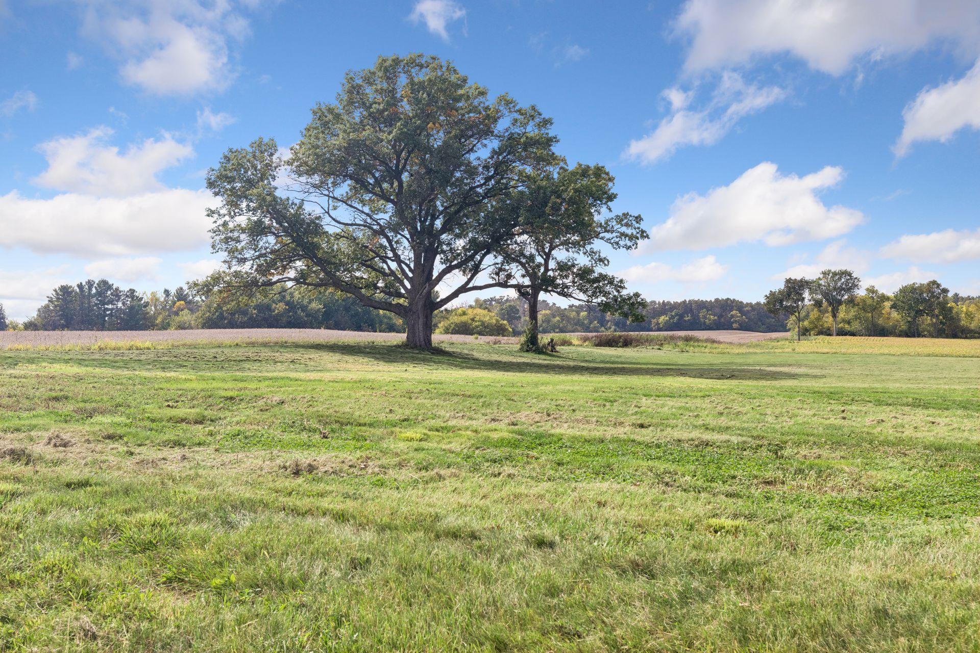 main property photo 92