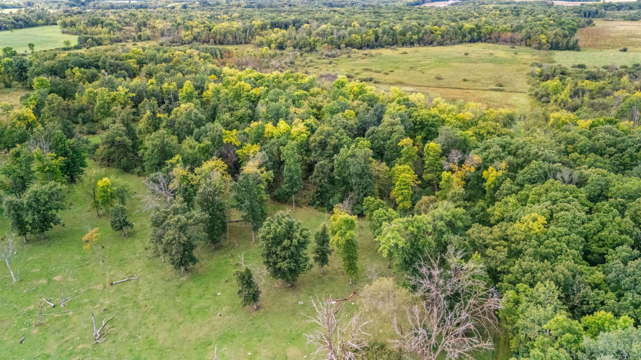 main property photo 63