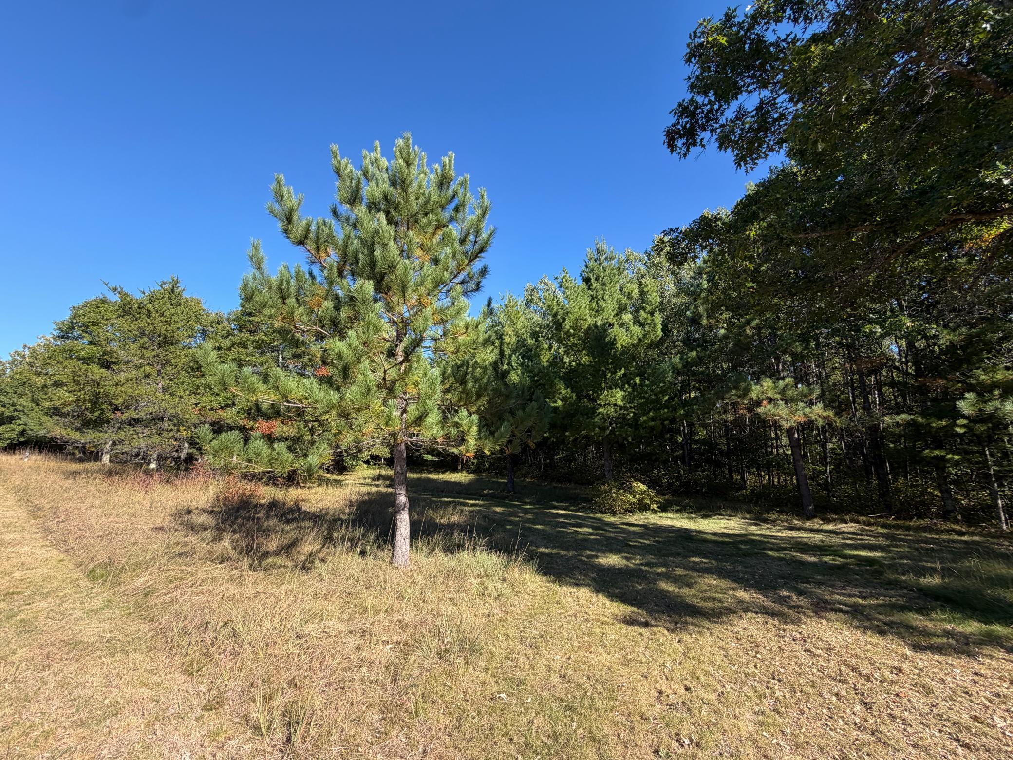 main property photo 20
