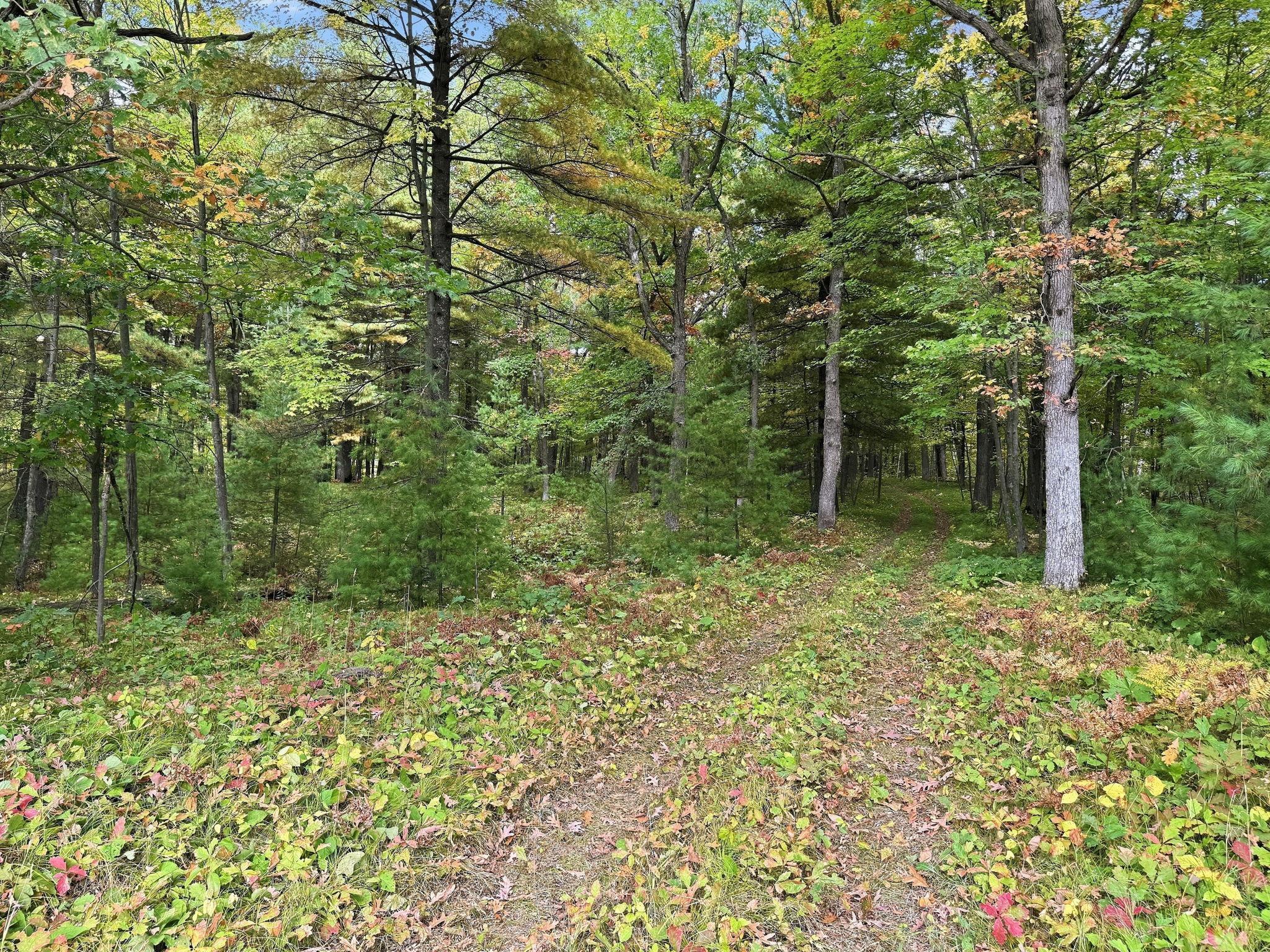 main property photo 57