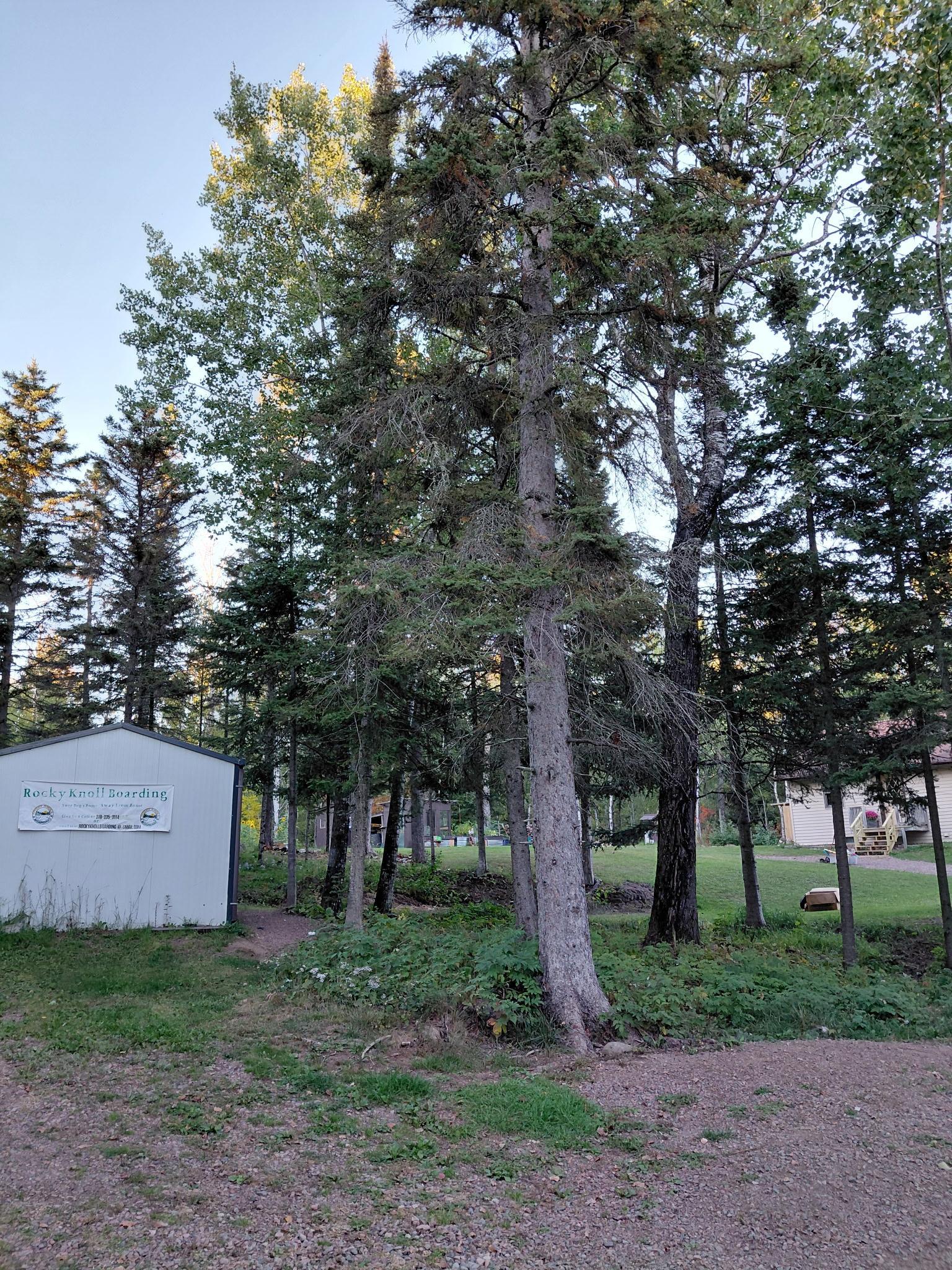 main property photo 38