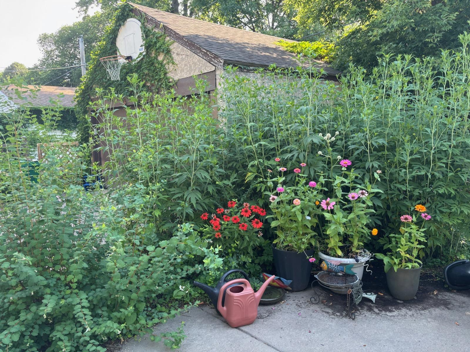 main property photo 10