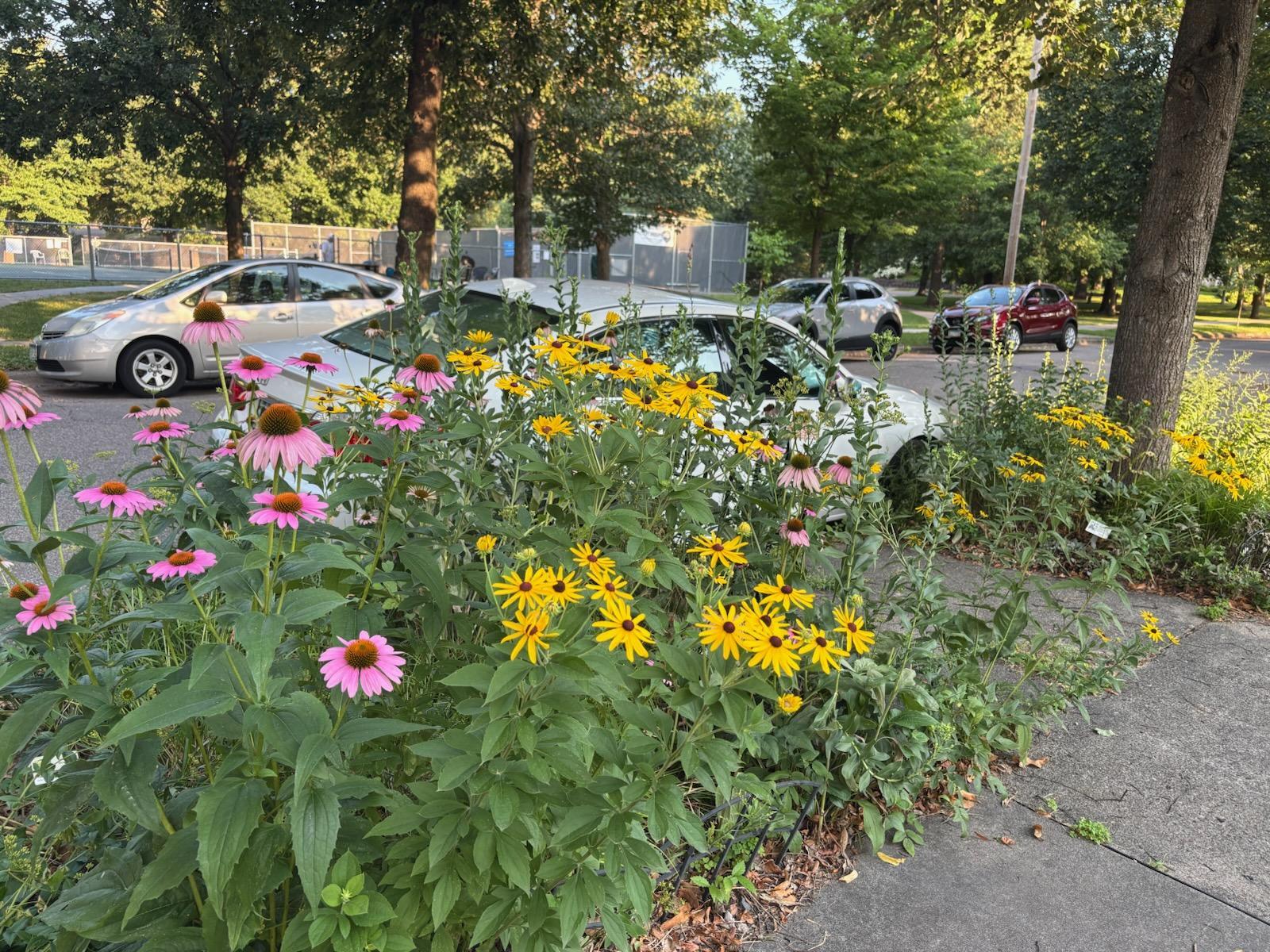 main property photo 11