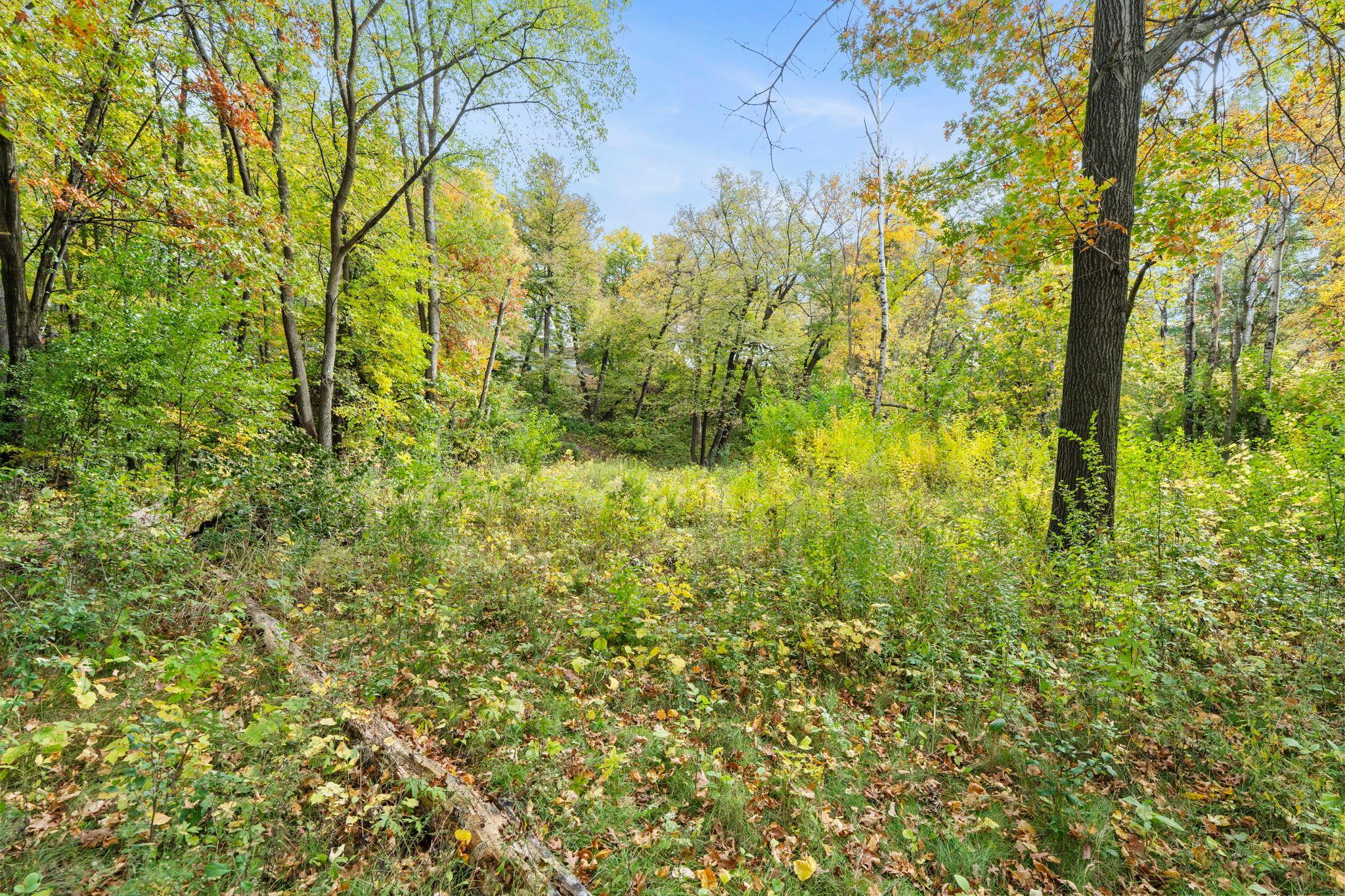 main property photo 54