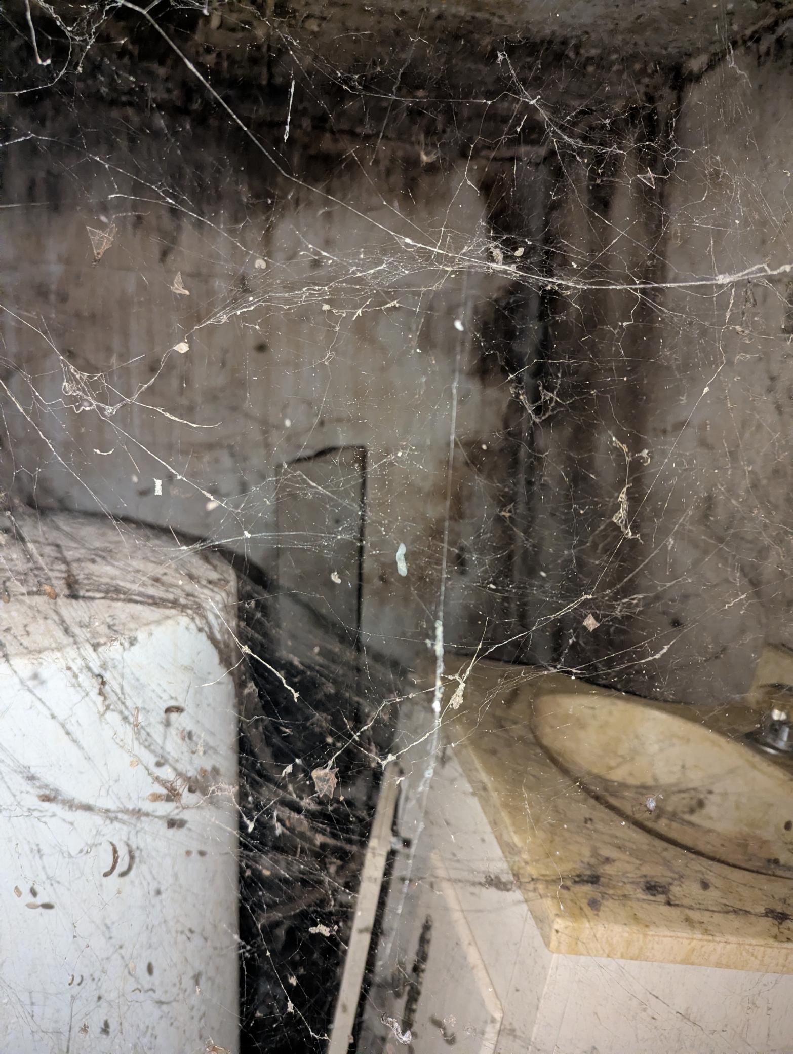 main property photo 49