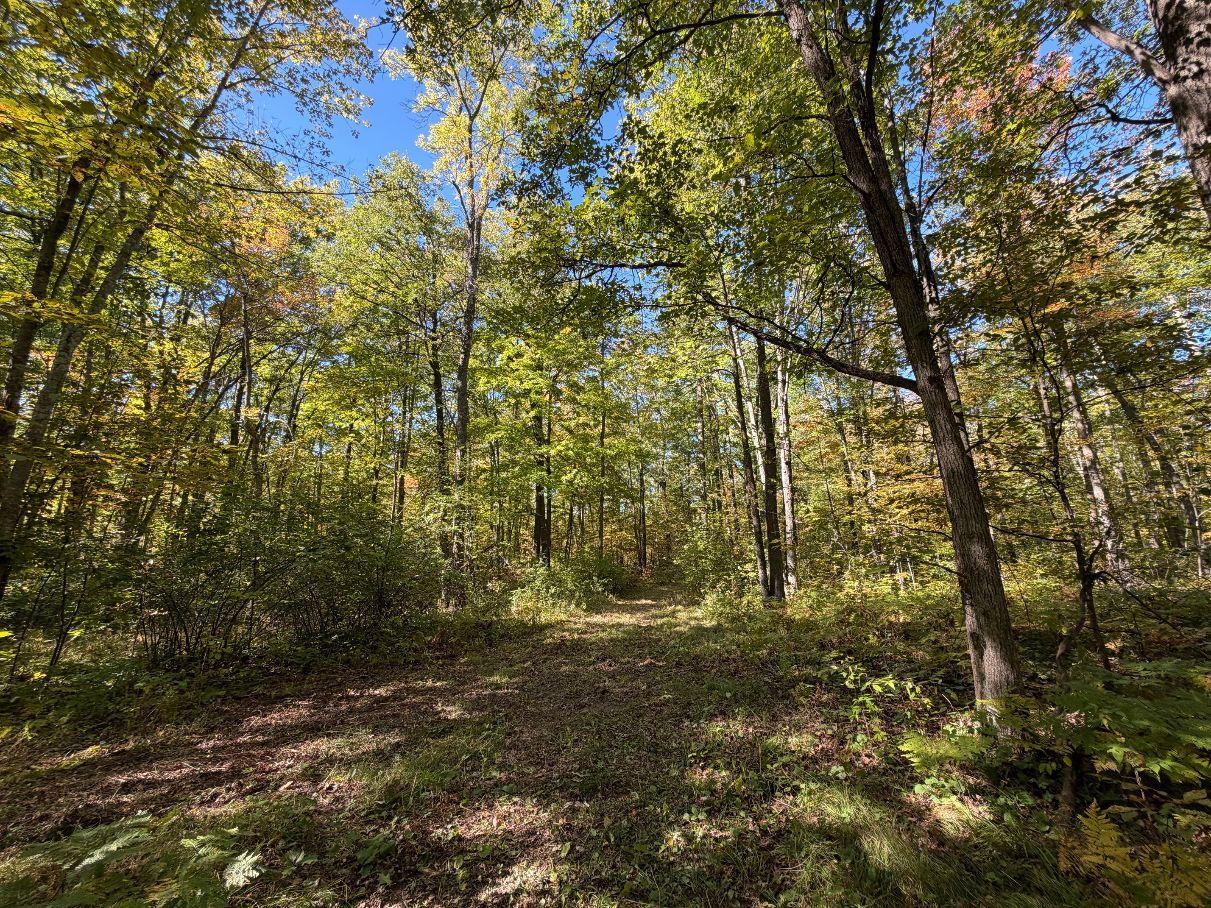 main property photo 31