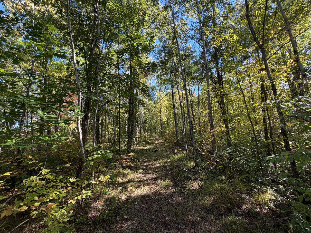 main property photo 46