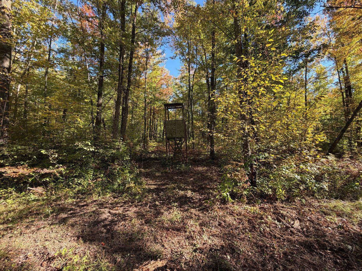 main property photo 58