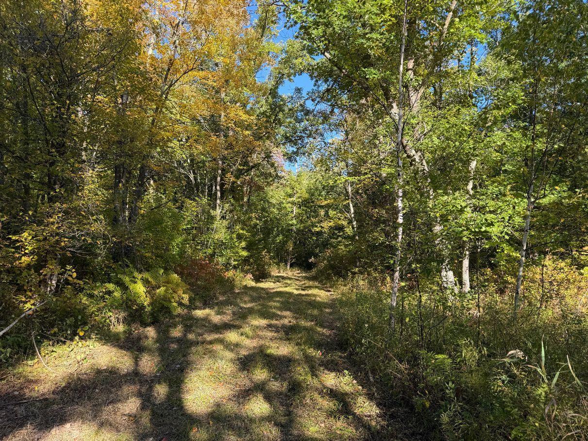 main property photo 62