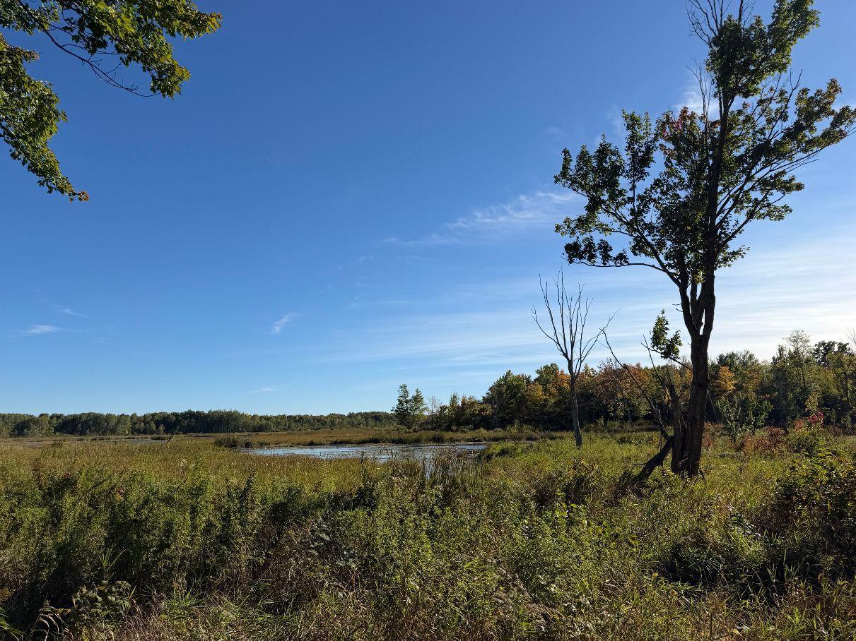 main property photo 64