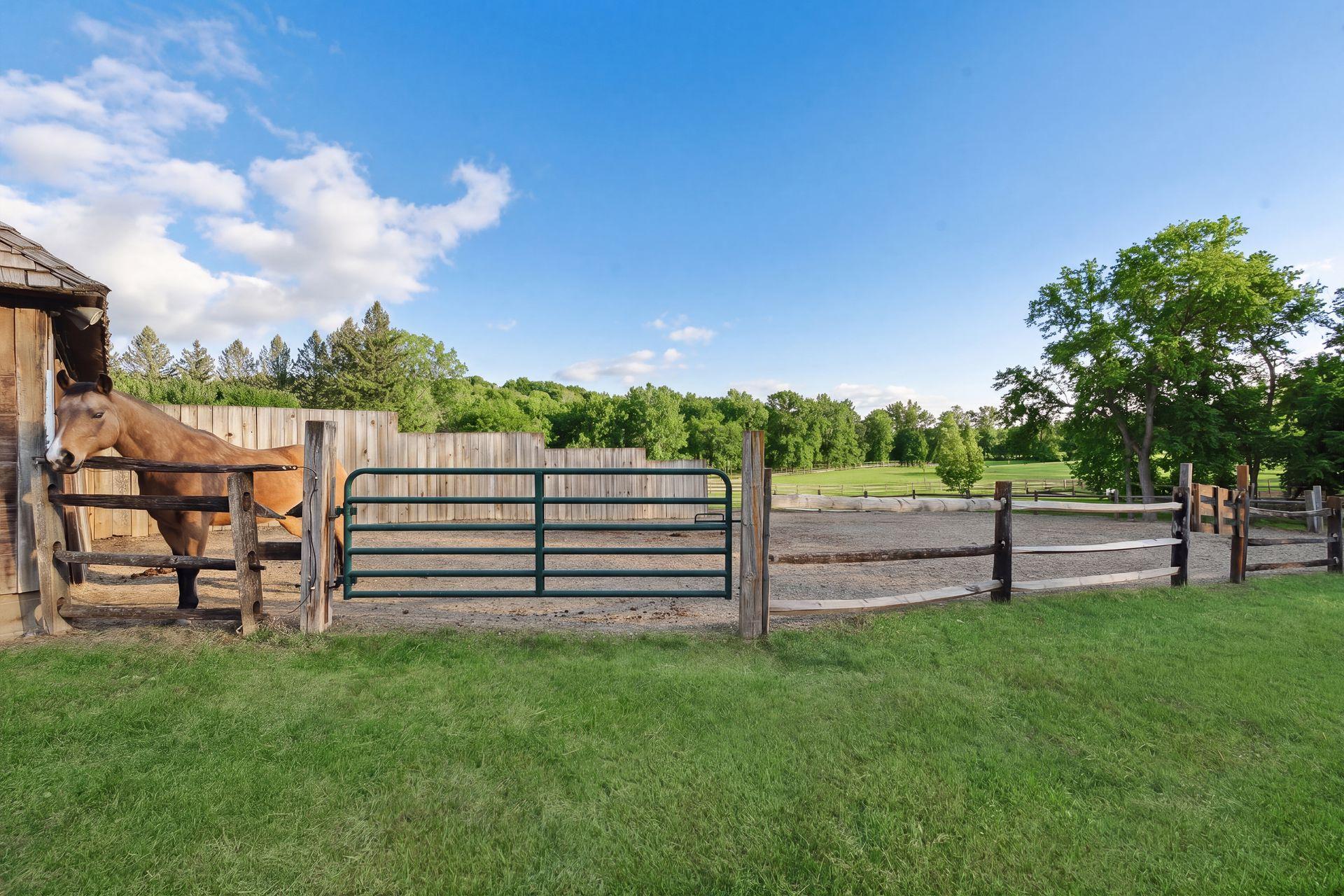 main property photo 56