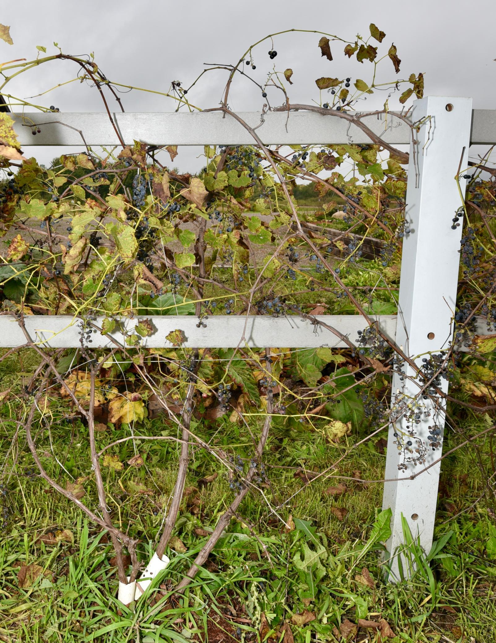 main property photo 41
