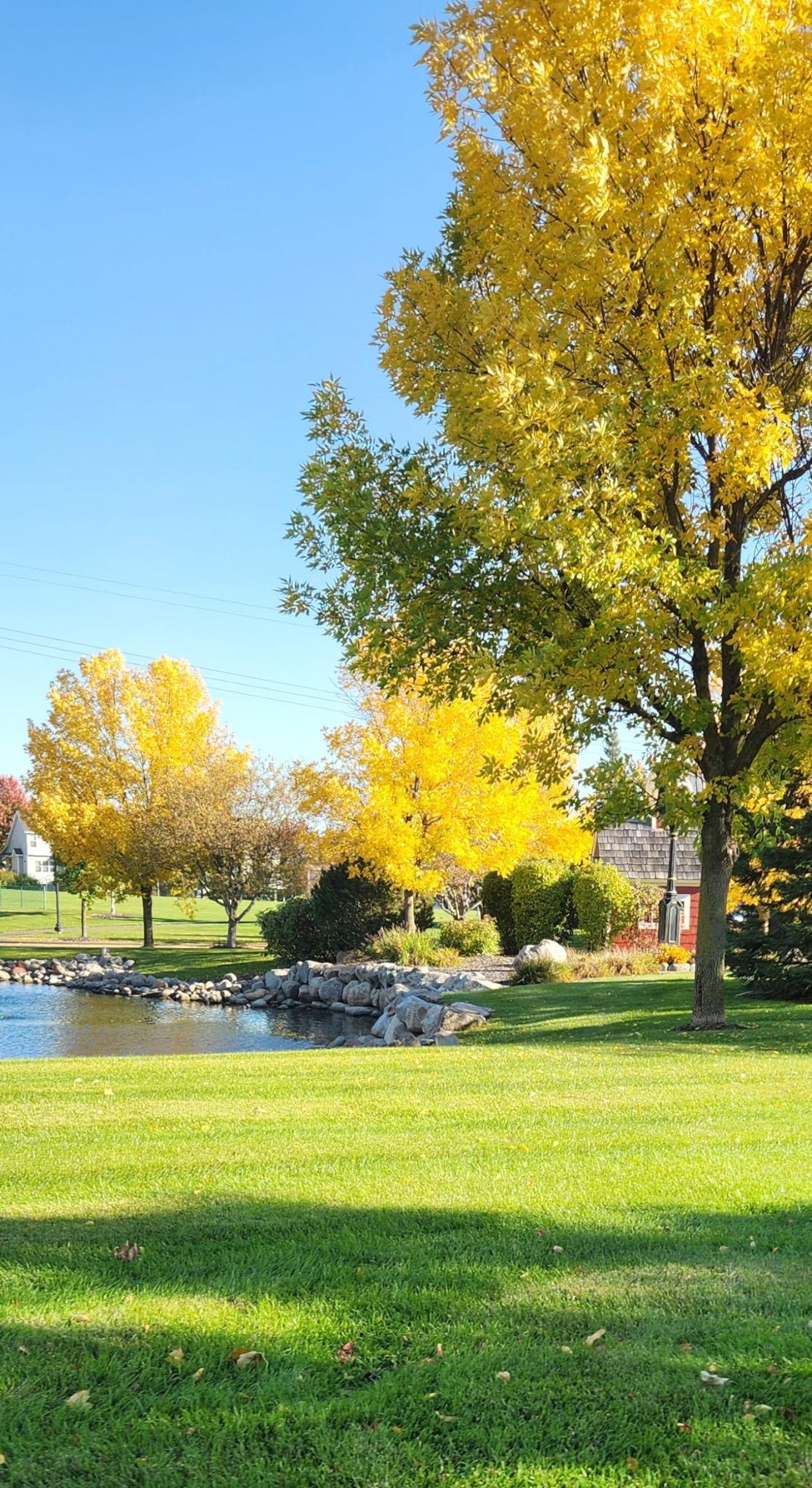 main property photo 31