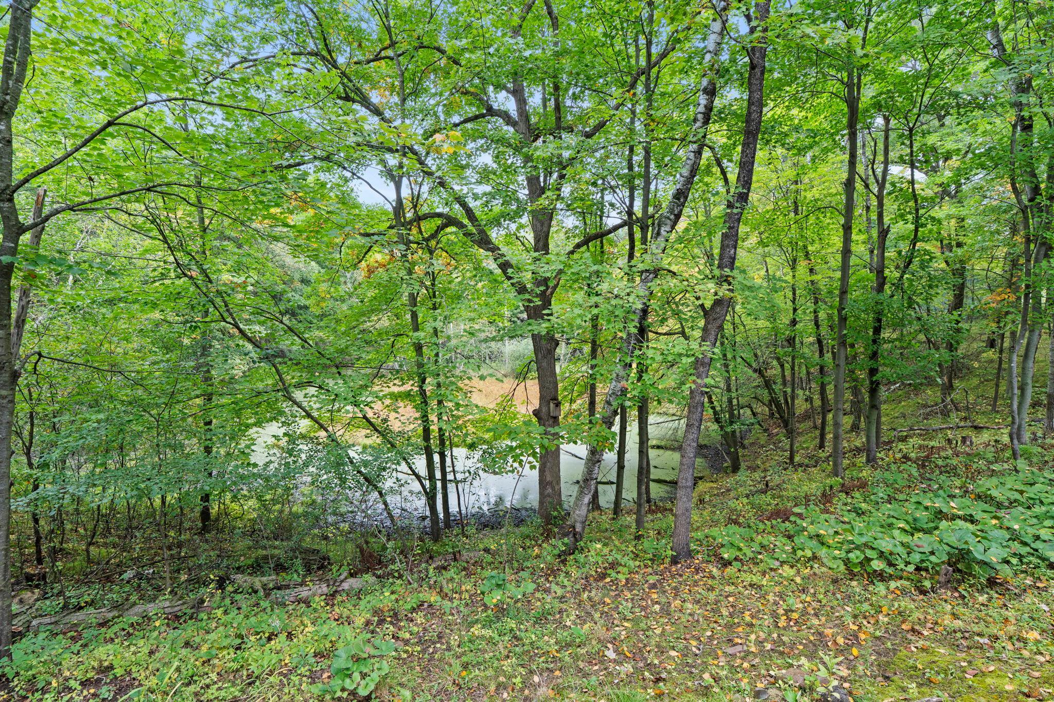 main property photo 62