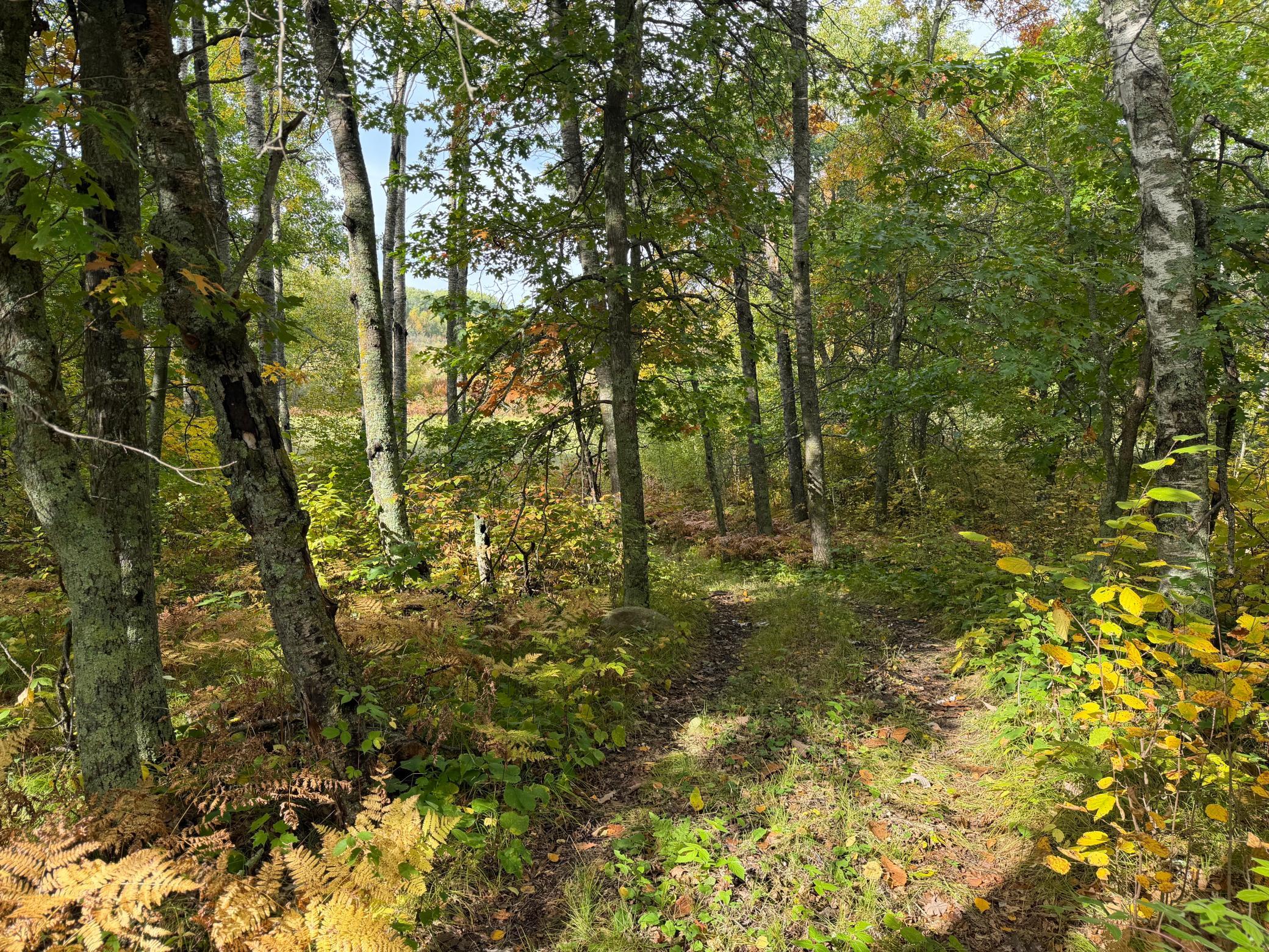 main property photo 24