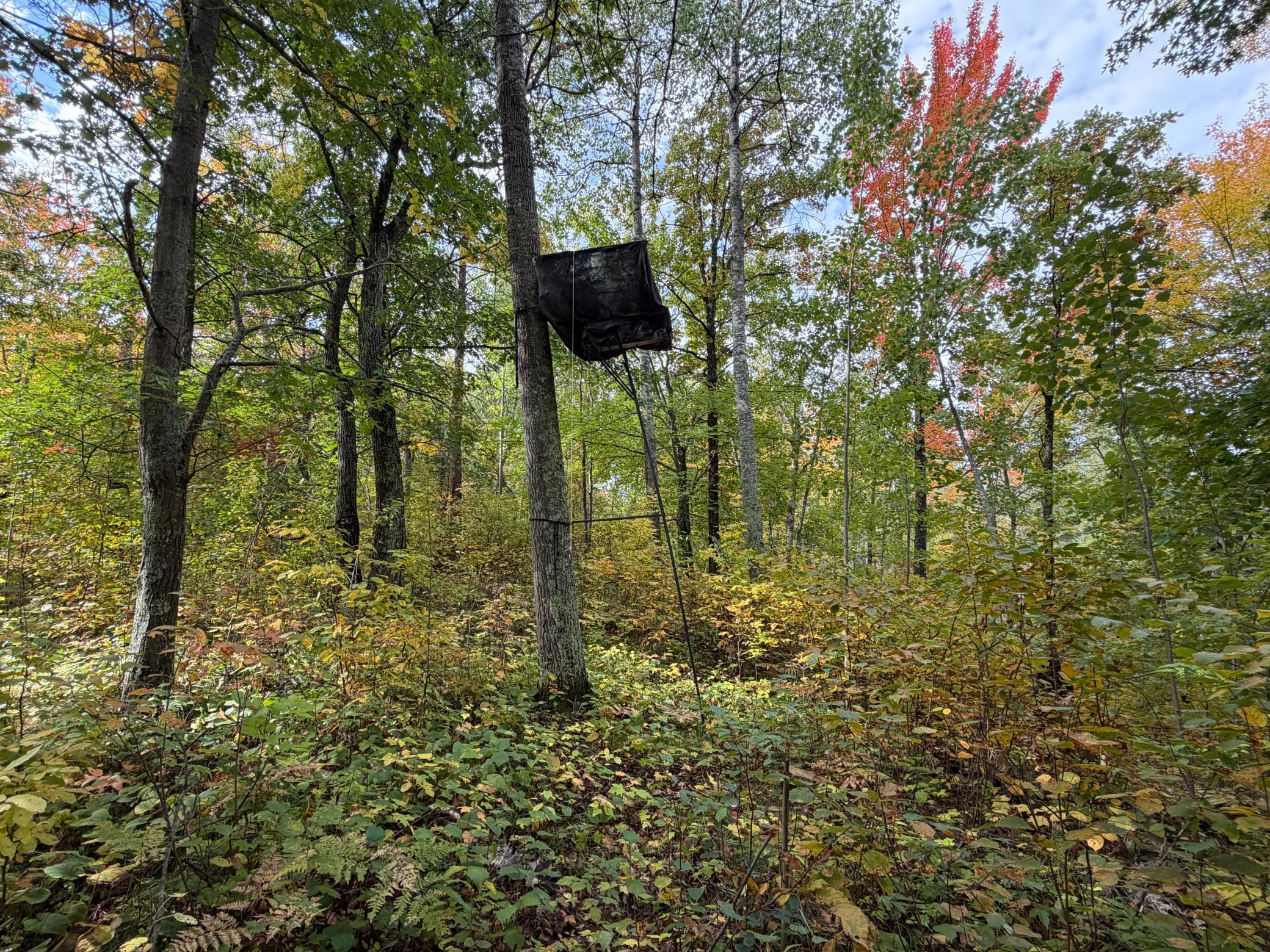 main property photo 35