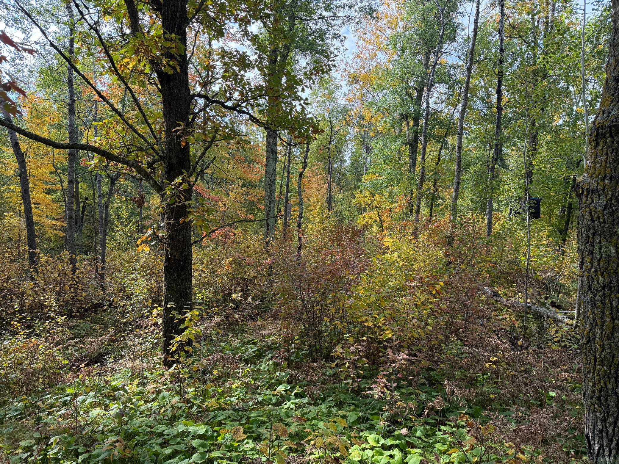 main property photo 47