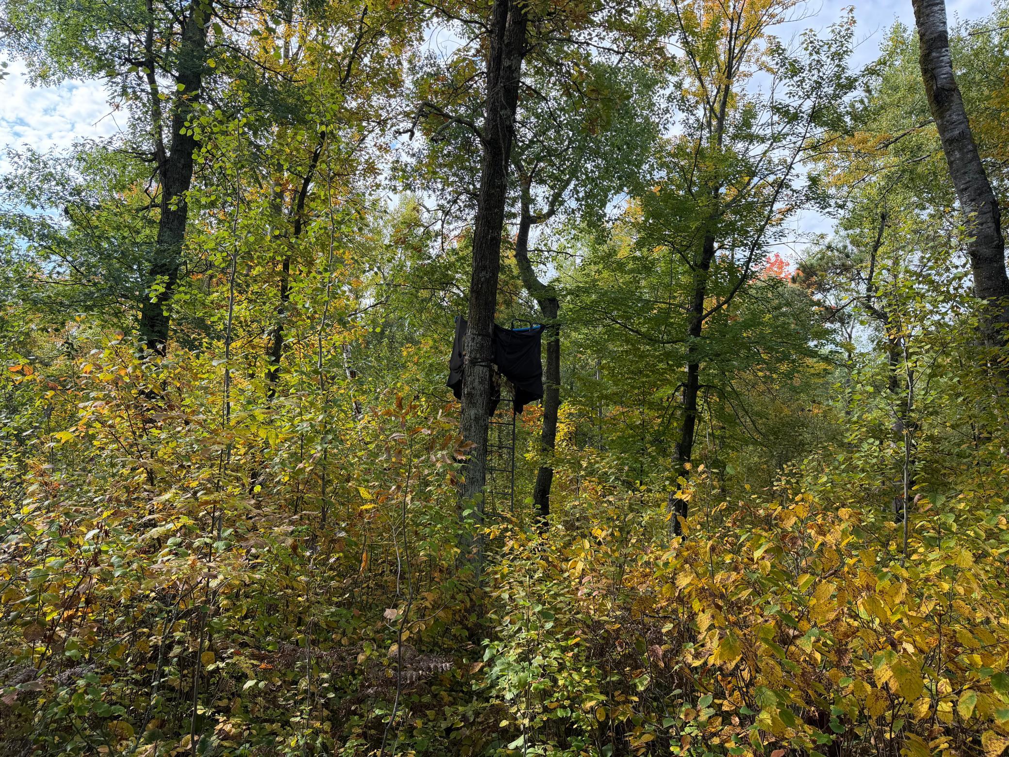 main property photo 48