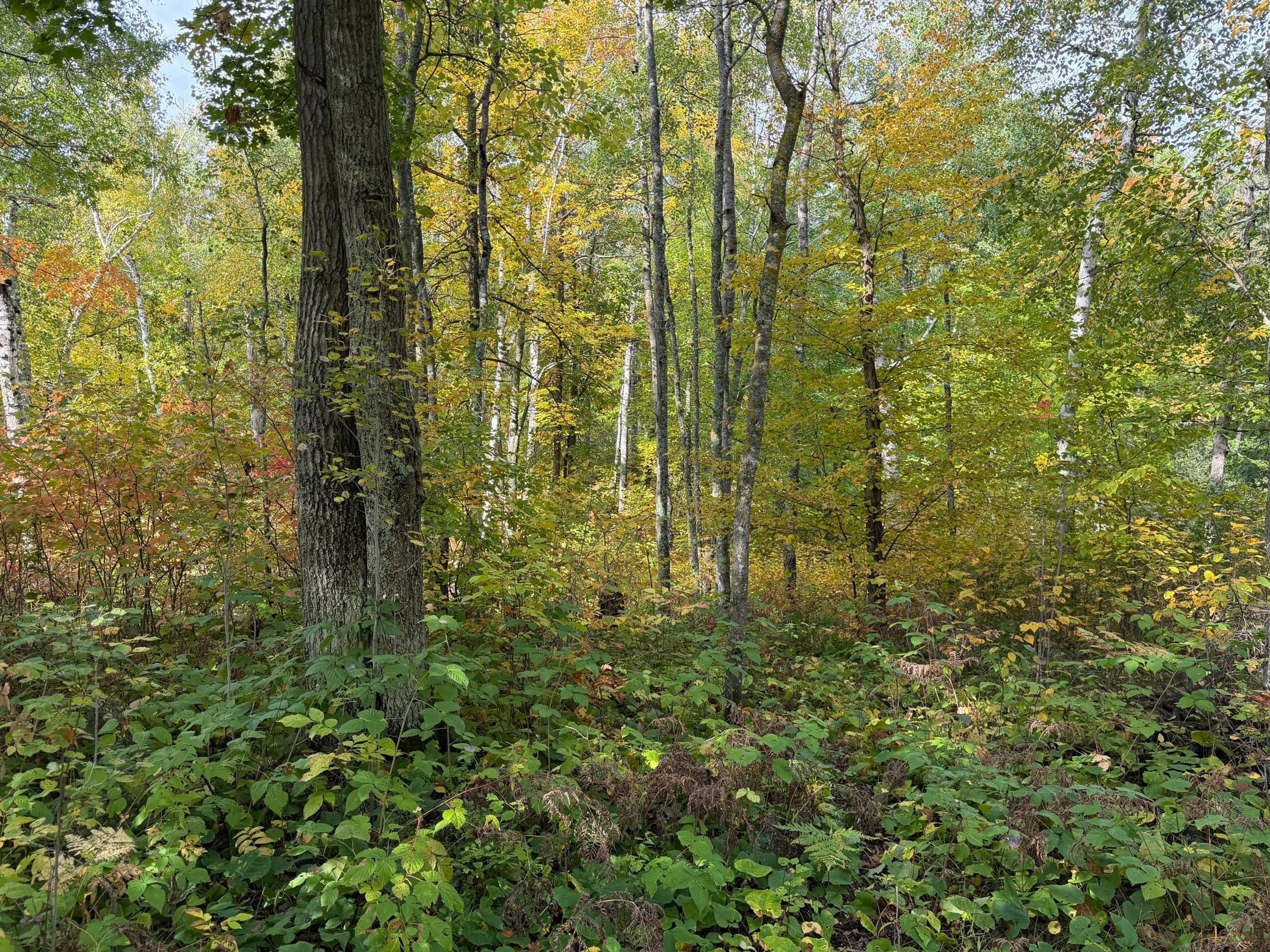 main property photo 49