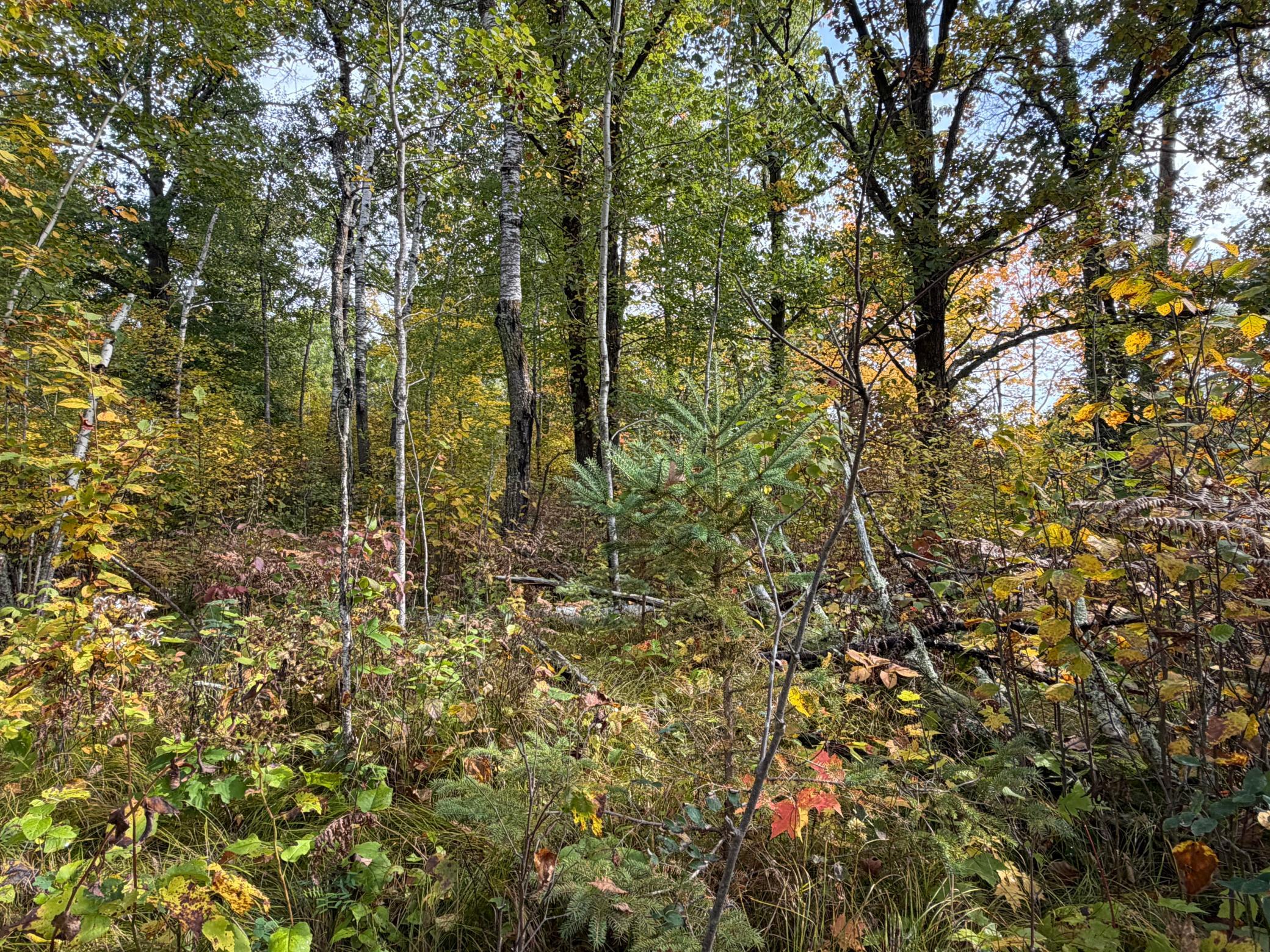 main property photo 51