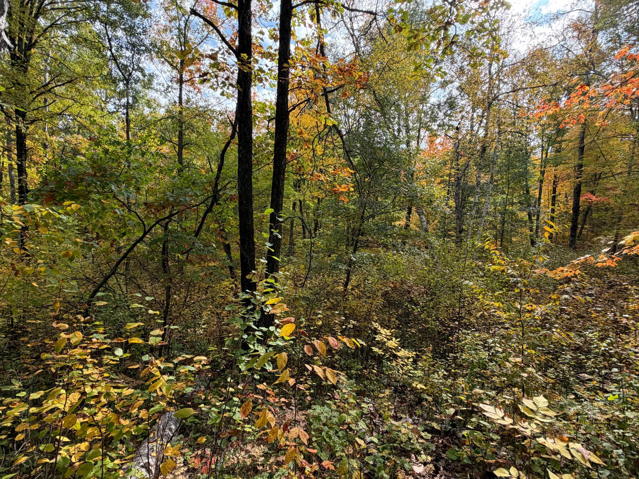 main property photo 58