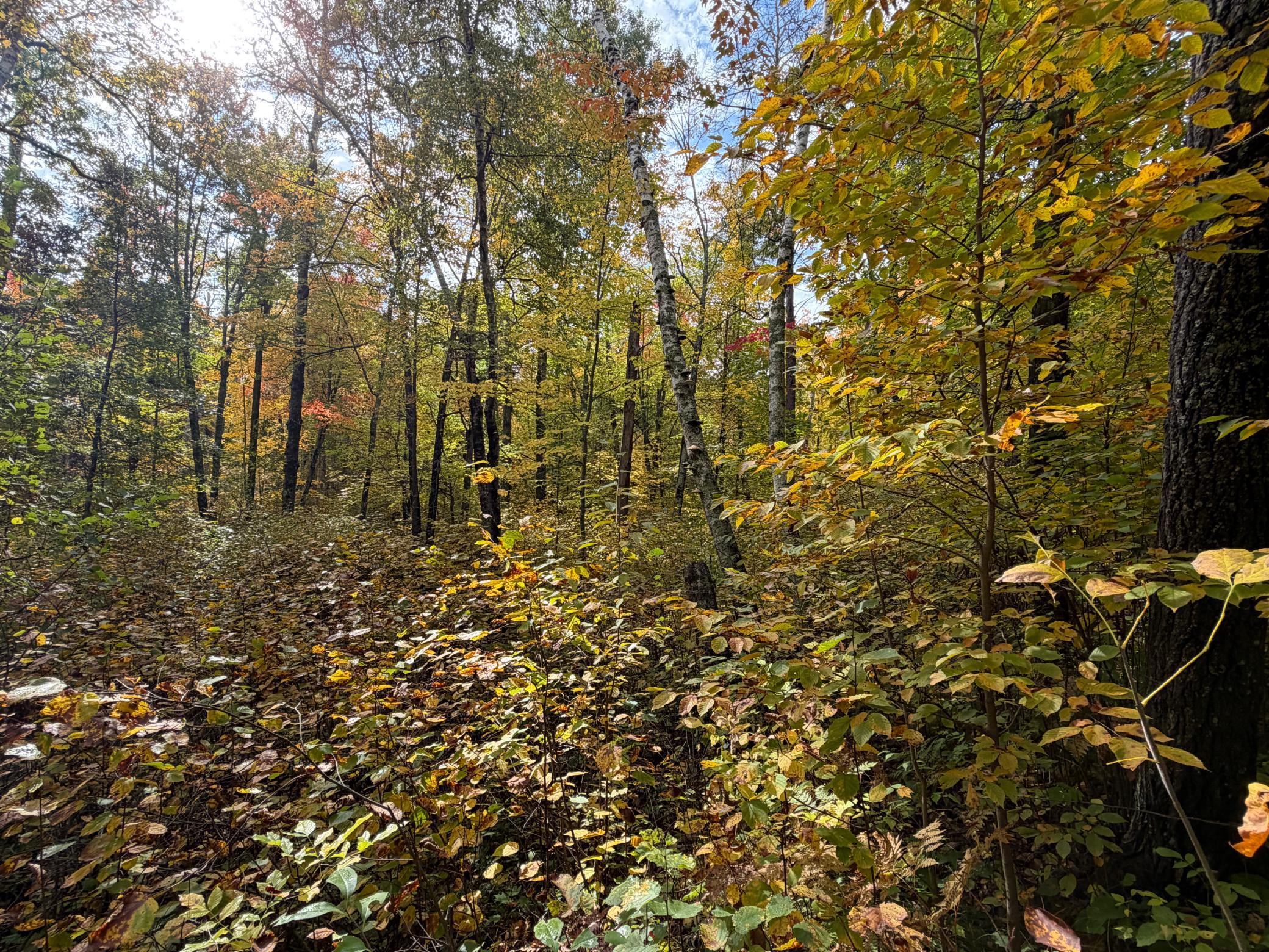 main property photo 59