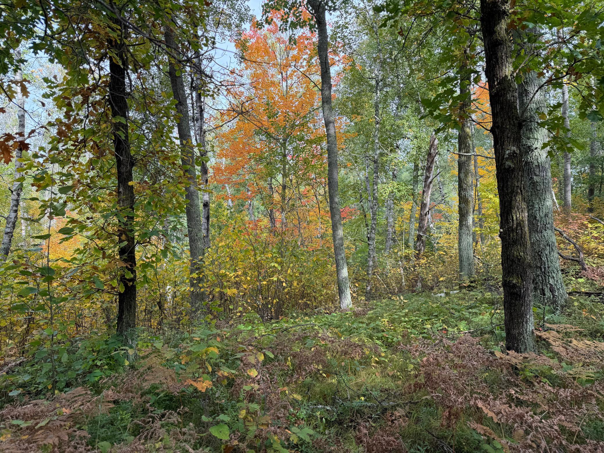 main property photo 63