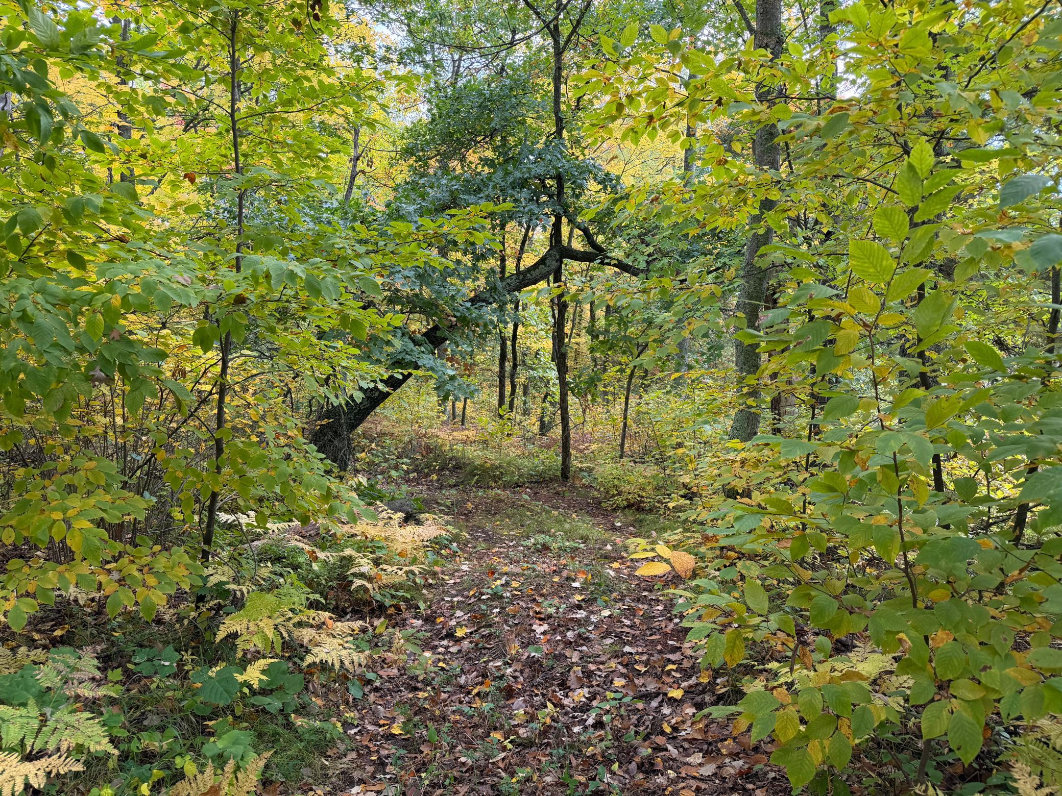 main property photo 8