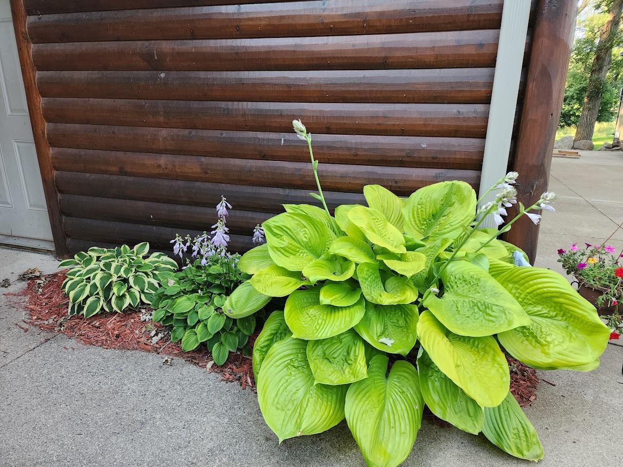 main property photo 71