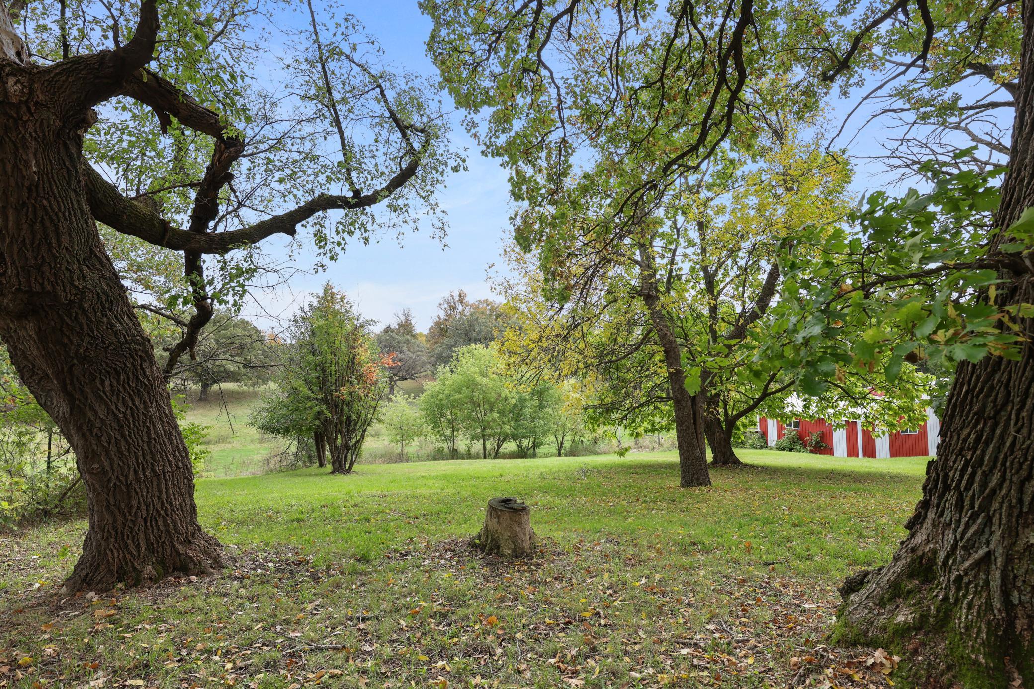 main property photo 57