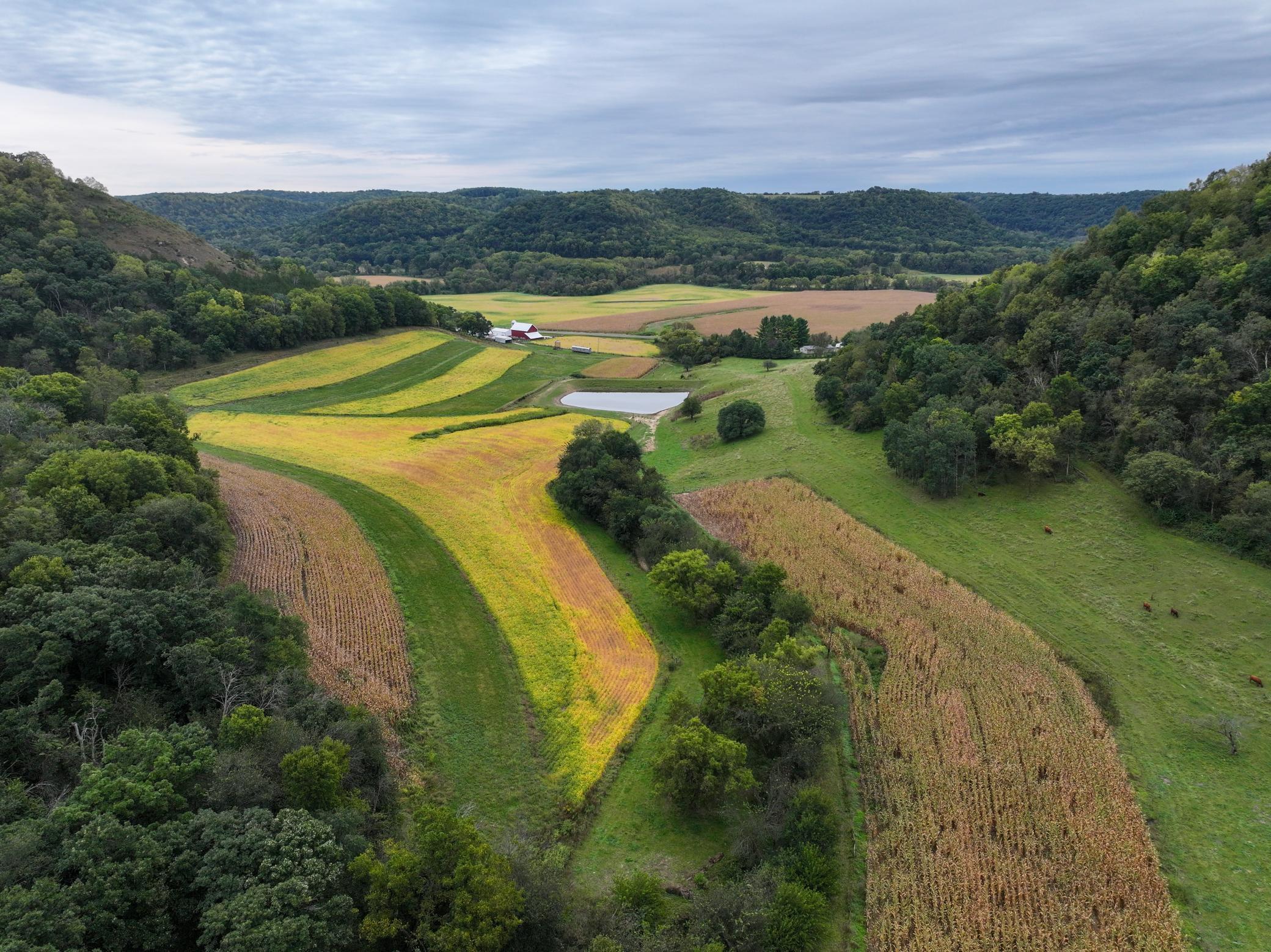 main property photo 15