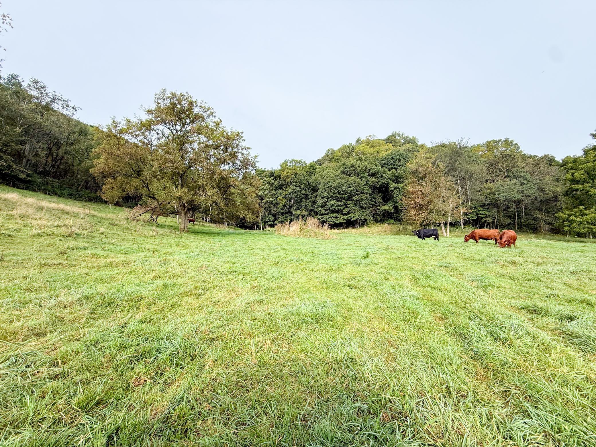 main property photo 56